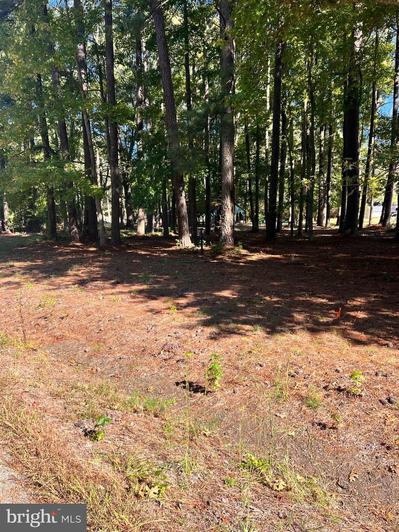 LOT 174 CURRIOMAN DR, MONTROSS, Virginia 22520, ,Land,For sale,LOT 174 CURRIOMAN DR,VAWE2009974 MLS # VAWE2009974