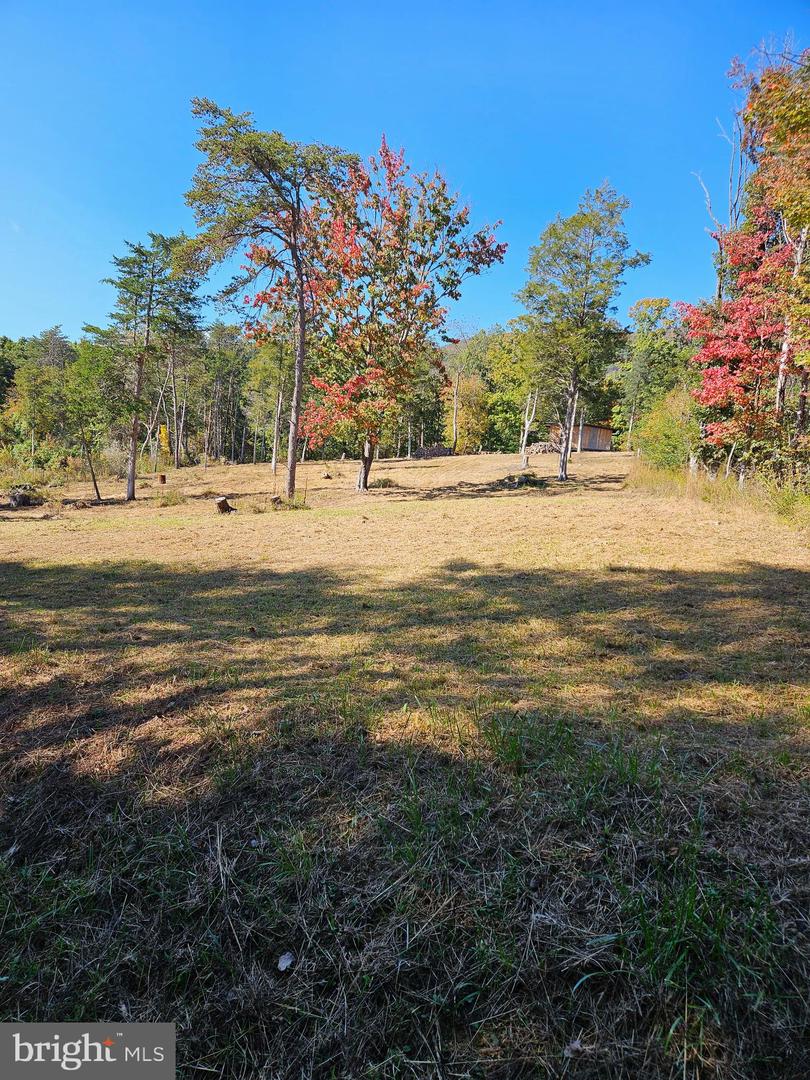 HILL CLIMB RD., STANLEY, Virginia 22851, ,Land,For sale,HILL CLIMB RD.,VAPA2005542 MLS # VAPA2005542 HILL CLIMB RD., STANLEY, Virginia 22851, ,Land,For sale,HILL CLIMB RD.,VAPA2005542 MLS # VAPA2005542