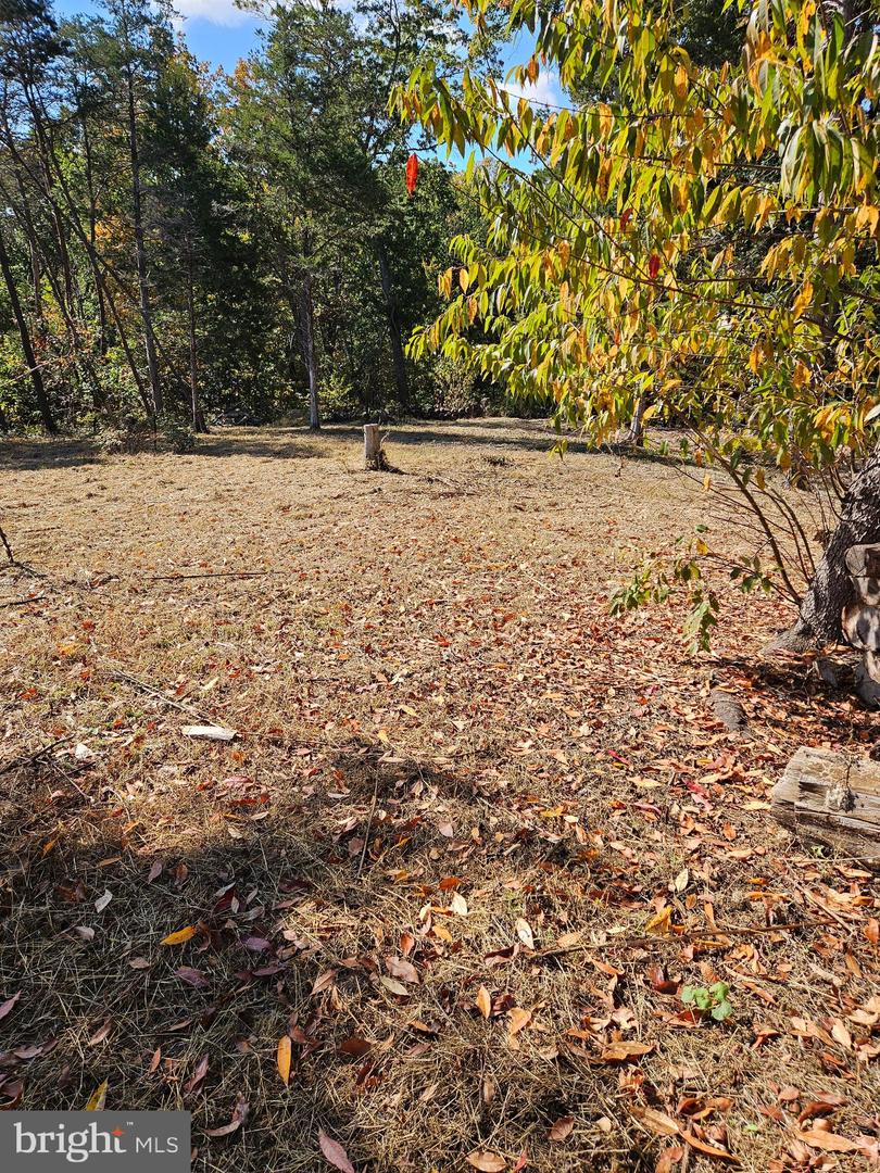 HILL CLIMB RD., STANLEY, Virginia 22851, ,Land,For sale,HILL CLIMB RD.,VAPA2005542 MLS # VAPA2005542 HILL CLIMB RD., STANLEY, Virginia 22851, ,Land,For sale,HILL CLIMB RD.,VAPA2005542 MLS # VAPA2005542