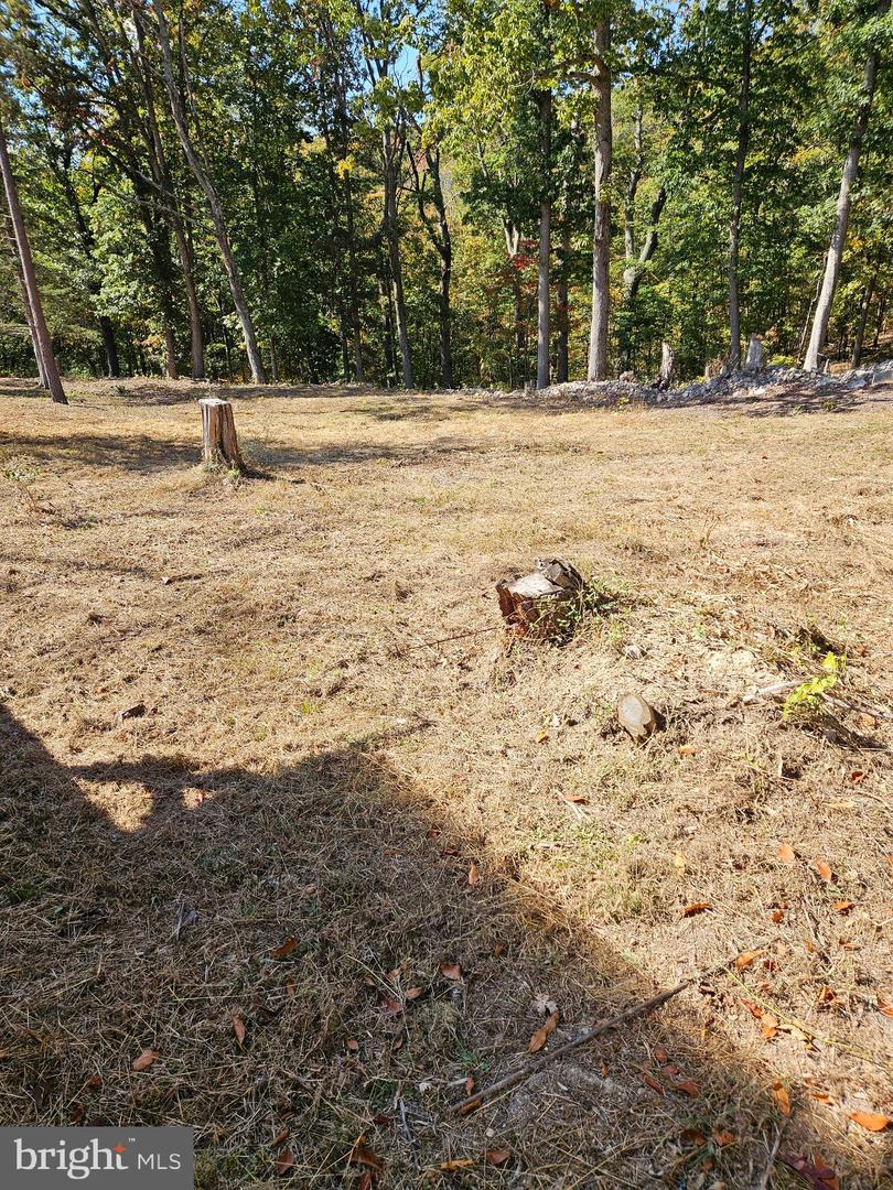 HILL CLIMB RD., STANLEY, Virginia 22851, ,Land,For sale,HILL CLIMB RD.,VAPA2005542 MLS # VAPA2005542 HILL CLIMB RD., STANLEY, Virginia 22851, ,Land,For sale,HILL CLIMB RD.,VAPA2005542 MLS # VAPA2005542