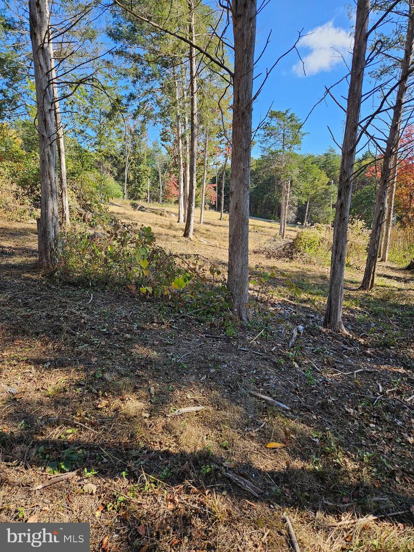 HILL CLIMB RD., STANLEY, Virginia 22851, ,Land,For sale,HILL CLIMB RD.,VAPA2005542 MLS # VAPA2005542 HILL CLIMB RD., STANLEY, Virginia 22851, ,Land,For sale,HILL CLIMB RD.,VAPA2005542 MLS # VAPA2005542