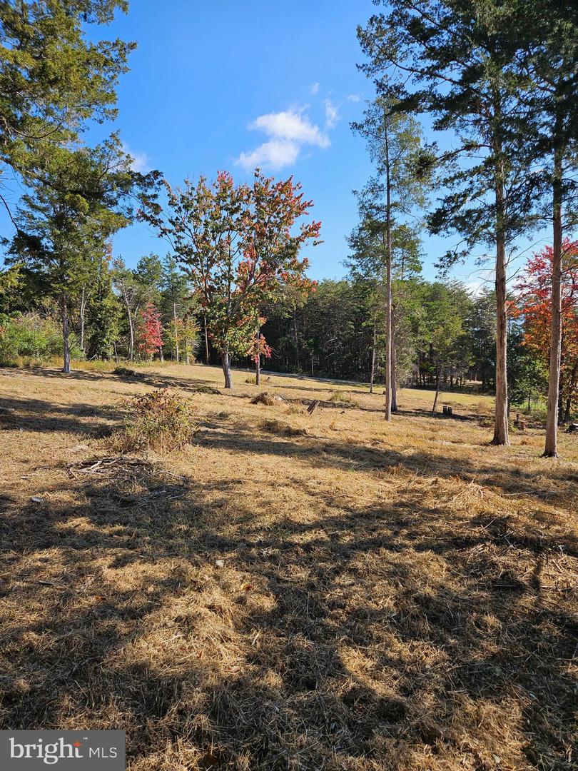 HILL CLIMB RD., STANLEY, Virginia 22851, ,Land,For sale,HILL CLIMB RD.,VAPA2005542 MLS # VAPA2005542 HILL CLIMB RD., STANLEY, Virginia 22851, ,Land,For sale,HILL CLIMB RD.,VAPA2005542 MLS # VAPA2005542