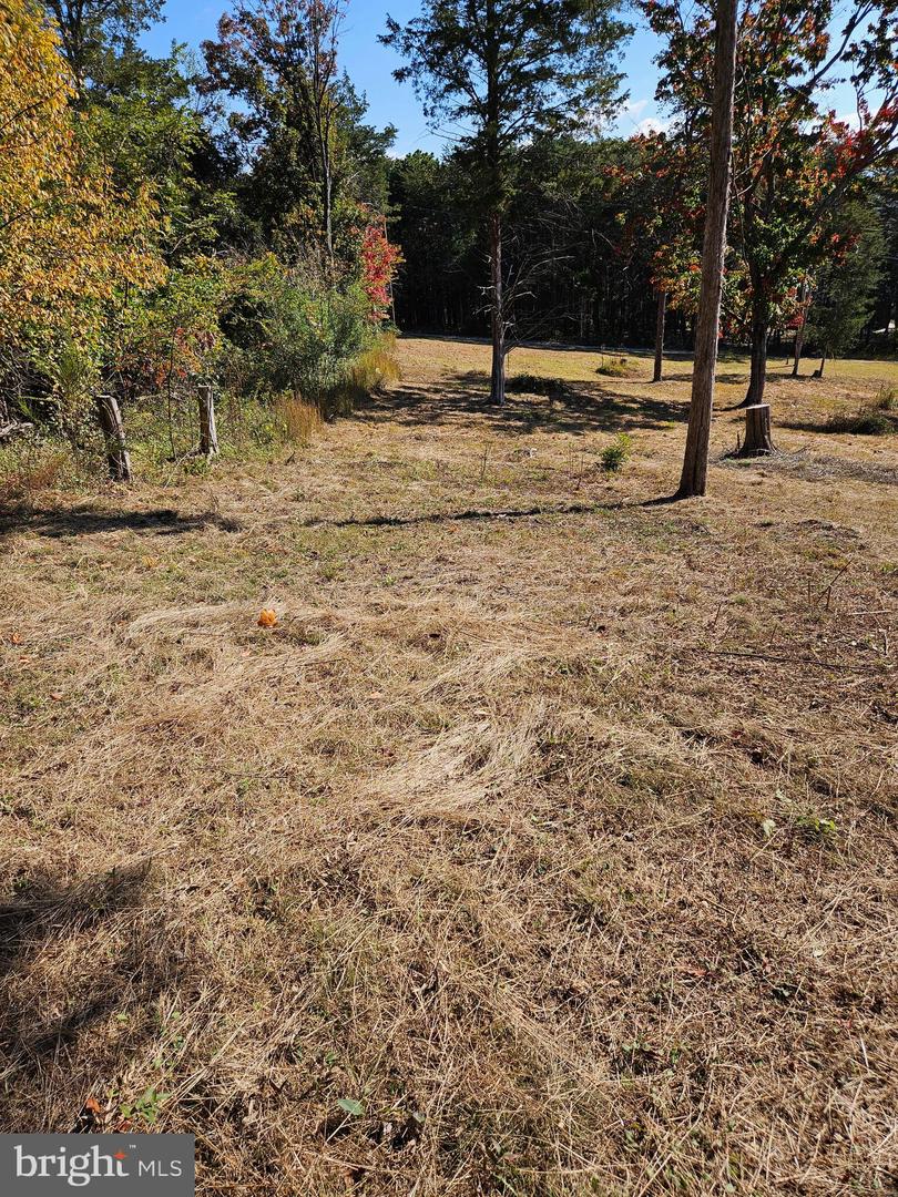 HILL CLIMB RD., STANLEY, Virginia 22851, ,Land,For sale,HILL CLIMB RD.,VAPA2005542 MLS # VAPA2005542 HILL CLIMB RD., STANLEY, Virginia 22851, ,Land,For sale,HILL CLIMB RD.,VAPA2005542 MLS # VAPA2005542