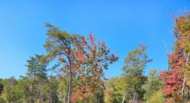 HILL CLIMB RD., STANLEY, Virginia 22851, ,Land,For sale,HILL CLIMB RD.,VAPA2005542 MLS # VAPA2005542