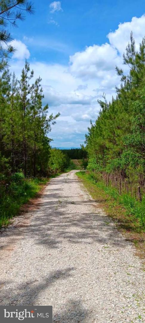 300 GRIZZLY, APPOMATTOX, Virginia 24522, ,Land,For sale,300 GRIZZLY,VAAV2000042 MLS # VAAV2000042 300 GRIZZLY, APPOMATTOX, Virginia 24522, ,Land,For sale,300 GRIZZLY,VAAV2000042 MLS # VAAV2000042