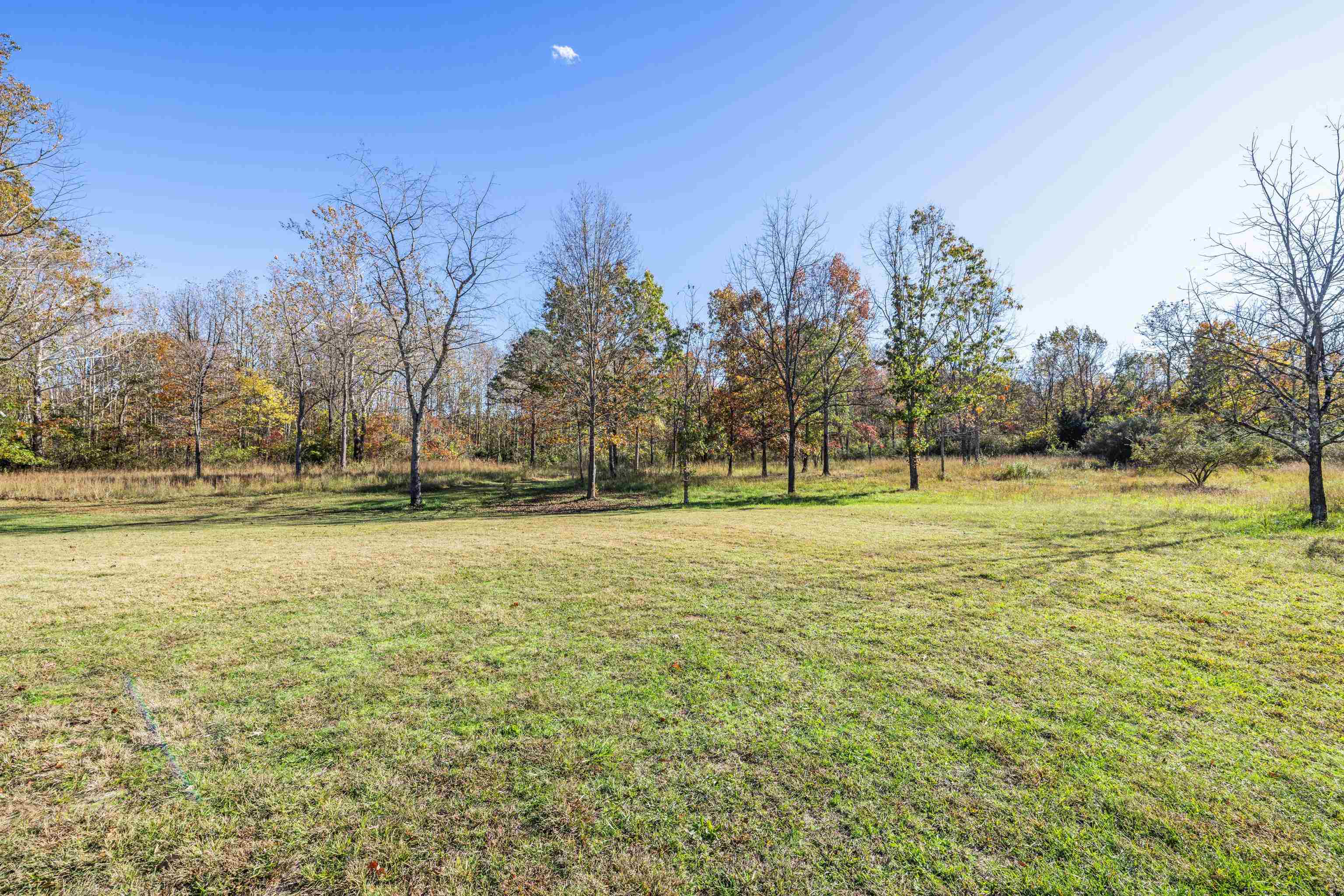 57 THOMAS DR, LYNDHURST, Virginia 22952, 5 Bedrooms Bedrooms, ,2 BathroomsBathrooms,Residential,57 THOMAS DR,670495 MLS # 670495 57 THOMAS DR, LYNDHURST, Virginia 22952, 5 Bedrooms Bedrooms, ,2 BathroomsBathrooms,Residential,57 THOMAS DR,670495 MLS # 670495