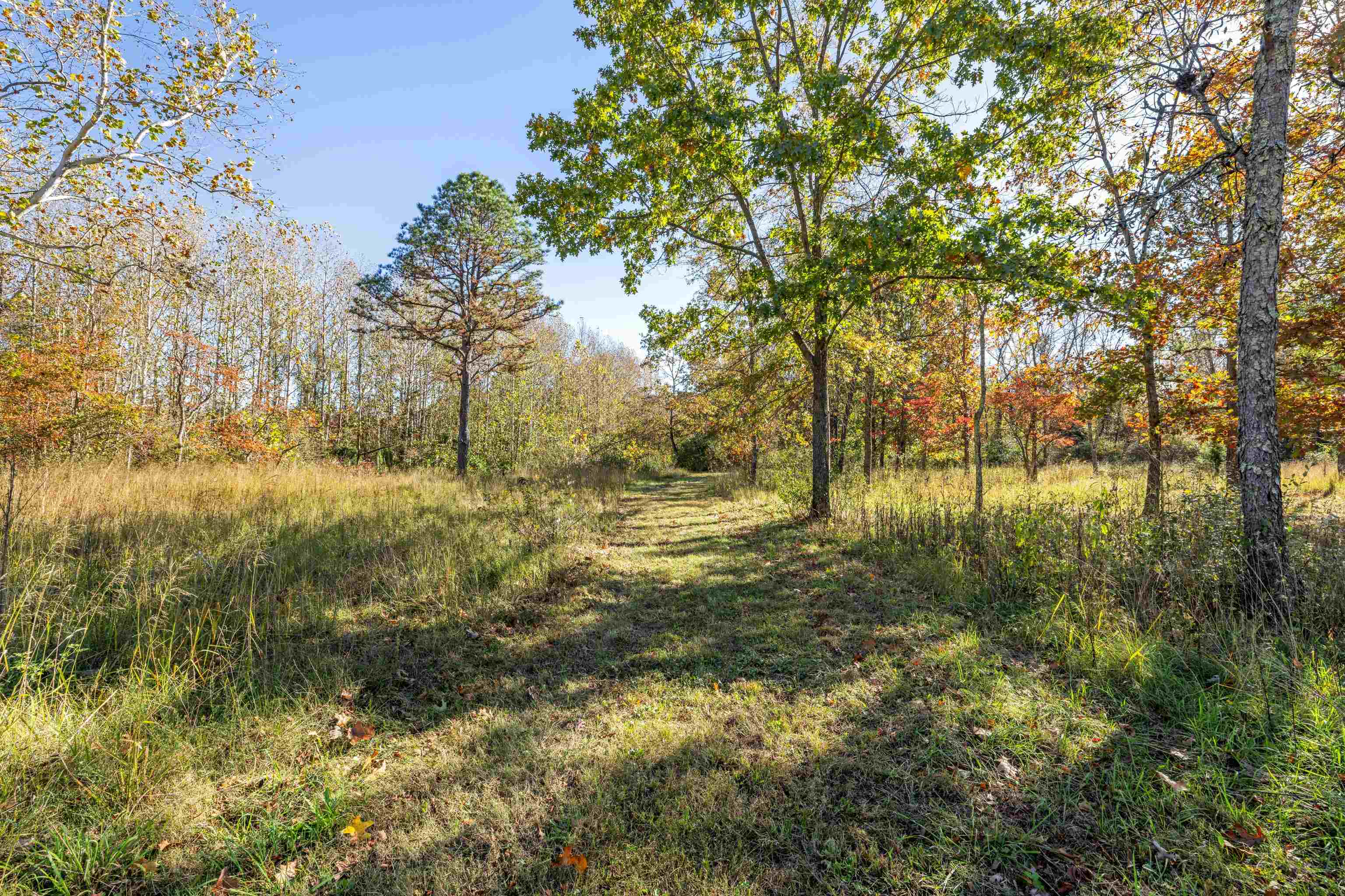 57 THOMAS DR, LYNDHURST, Virginia 22952, 5 Bedrooms Bedrooms, ,2 BathroomsBathrooms,Residential,57 THOMAS DR,670495 MLS # 670495 57 THOMAS DR, LYNDHURST, Virginia 22952, 5 Bedrooms Bedrooms, ,2 BathroomsBathrooms,Residential,57 THOMAS DR,670495 MLS # 670495