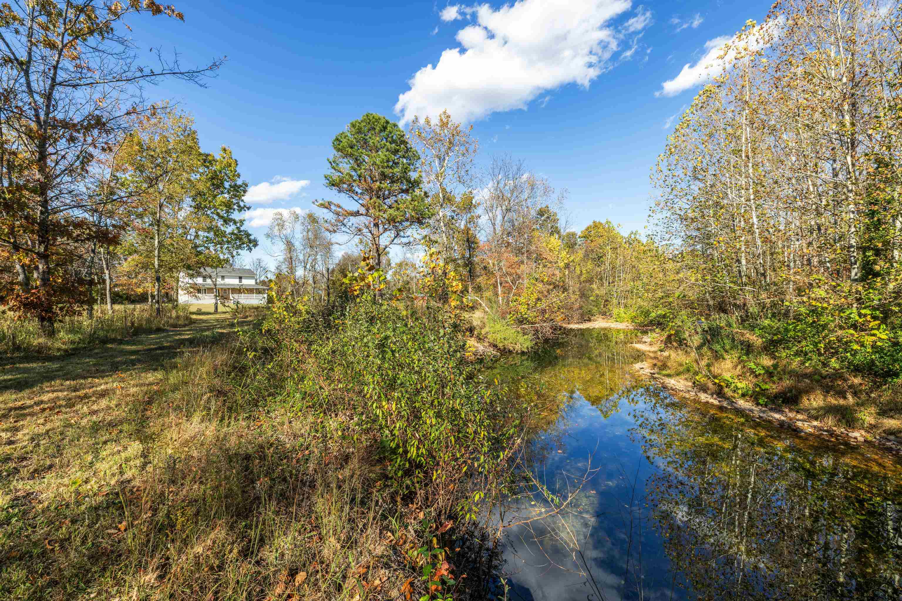 57 THOMAS DR, LYNDHURST, Virginia 22952, 5 Bedrooms Bedrooms, ,2 BathroomsBathrooms,Residential,57 THOMAS DR,670495 MLS # 670495 57 THOMAS DR, LYNDHURST, Virginia 22952, 5 Bedrooms Bedrooms, ,2 BathroomsBathrooms,Residential,57 THOMAS DR,670495 MLS # 670495