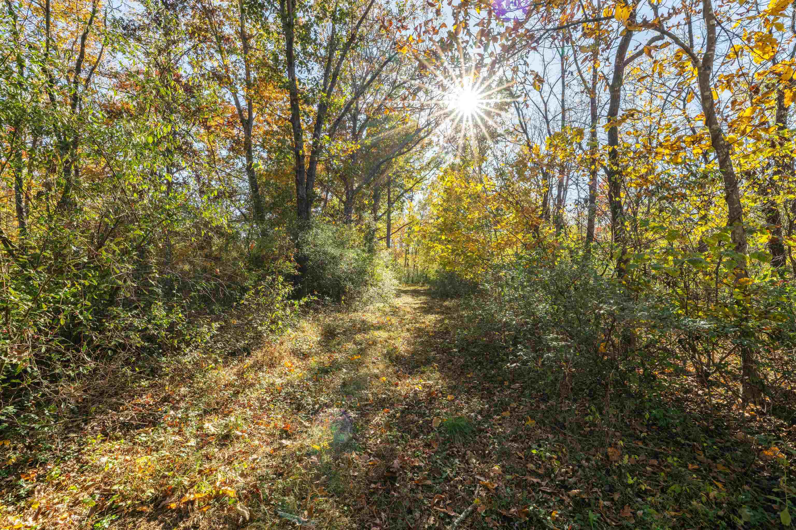 57 THOMAS DR, LYNDHURST, Virginia 22952, 5 Bedrooms Bedrooms, ,2 BathroomsBathrooms,Residential,57 THOMAS DR,670495 MLS # 670495 57 THOMAS DR, LYNDHURST, Virginia 22952, 5 Bedrooms Bedrooms, ,2 BathroomsBathrooms,Residential,57 THOMAS DR,670495 MLS # 670495