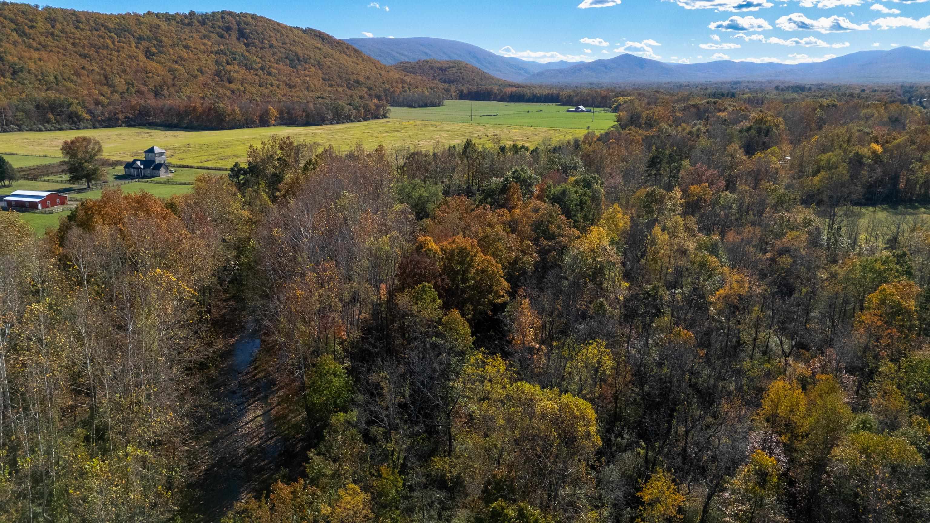 57 THOMAS DR, LYNDHURST, Virginia 22952, 5 Bedrooms Bedrooms, ,2 BathroomsBathrooms,Residential,57 THOMAS DR,670495 MLS # 670495 57 THOMAS DR, LYNDHURST, Virginia 22952, 5 Bedrooms Bedrooms, ,2 BathroomsBathrooms,Residential,57 THOMAS DR,670495 MLS # 670495