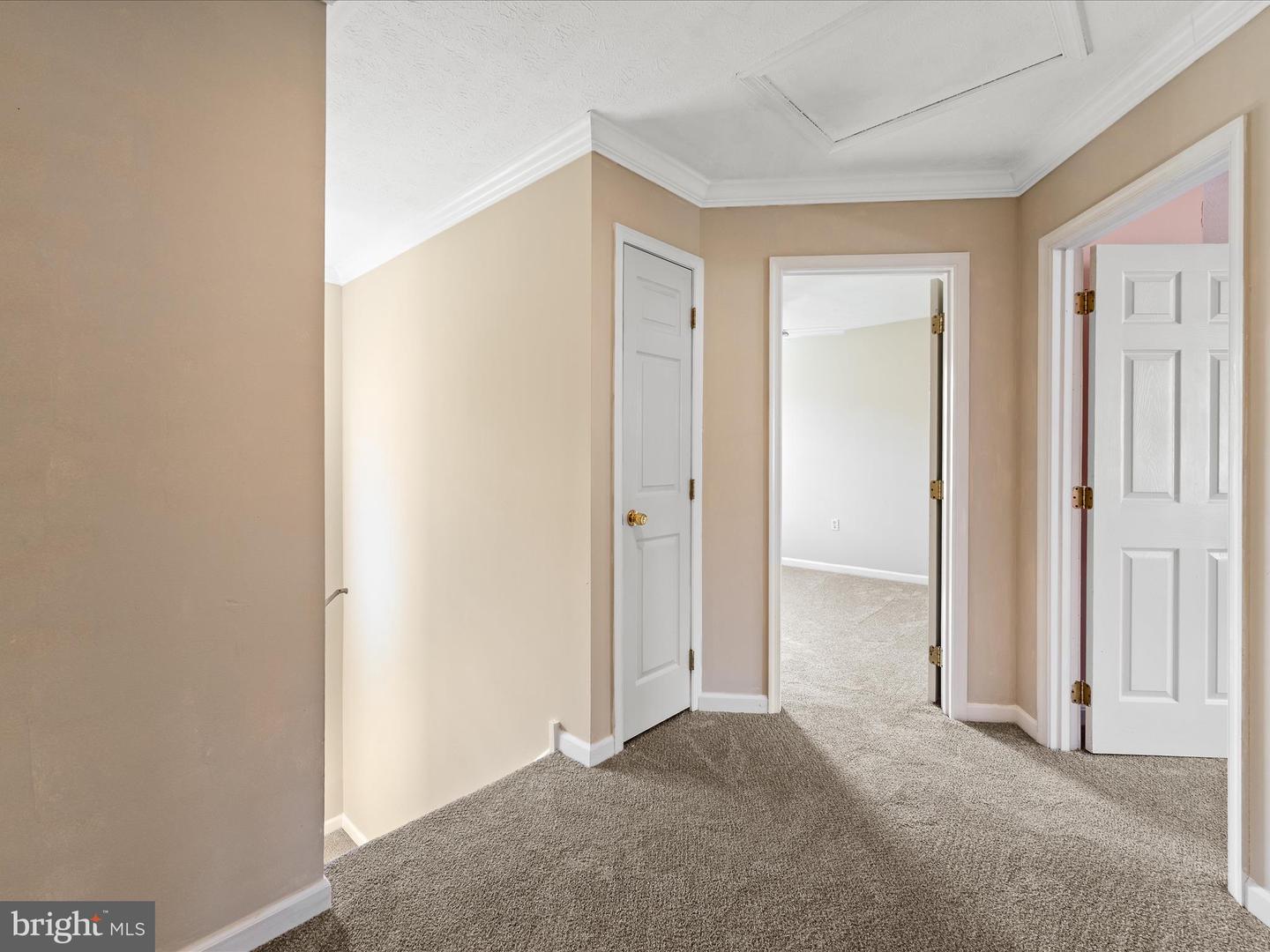 144 MORNING GLORY, WINCHESTER, Virginia 22602, 5 Bedrooms Bedrooms, 12 Rooms Rooms,4 BathroomsBathrooms,Residential,For sale,144 MORNING GLORY,VAFV2037596 MLS # VAFV2037596 144 MORNING GLORY, WINCHESTER, Virginia 22602, 5 Bedrooms Bedrooms, 12 Rooms Rooms,4 BathroomsBathrooms,Residential,For sale,144 MORNING GLORY,VAFV2037596 MLS # VAFV2037596