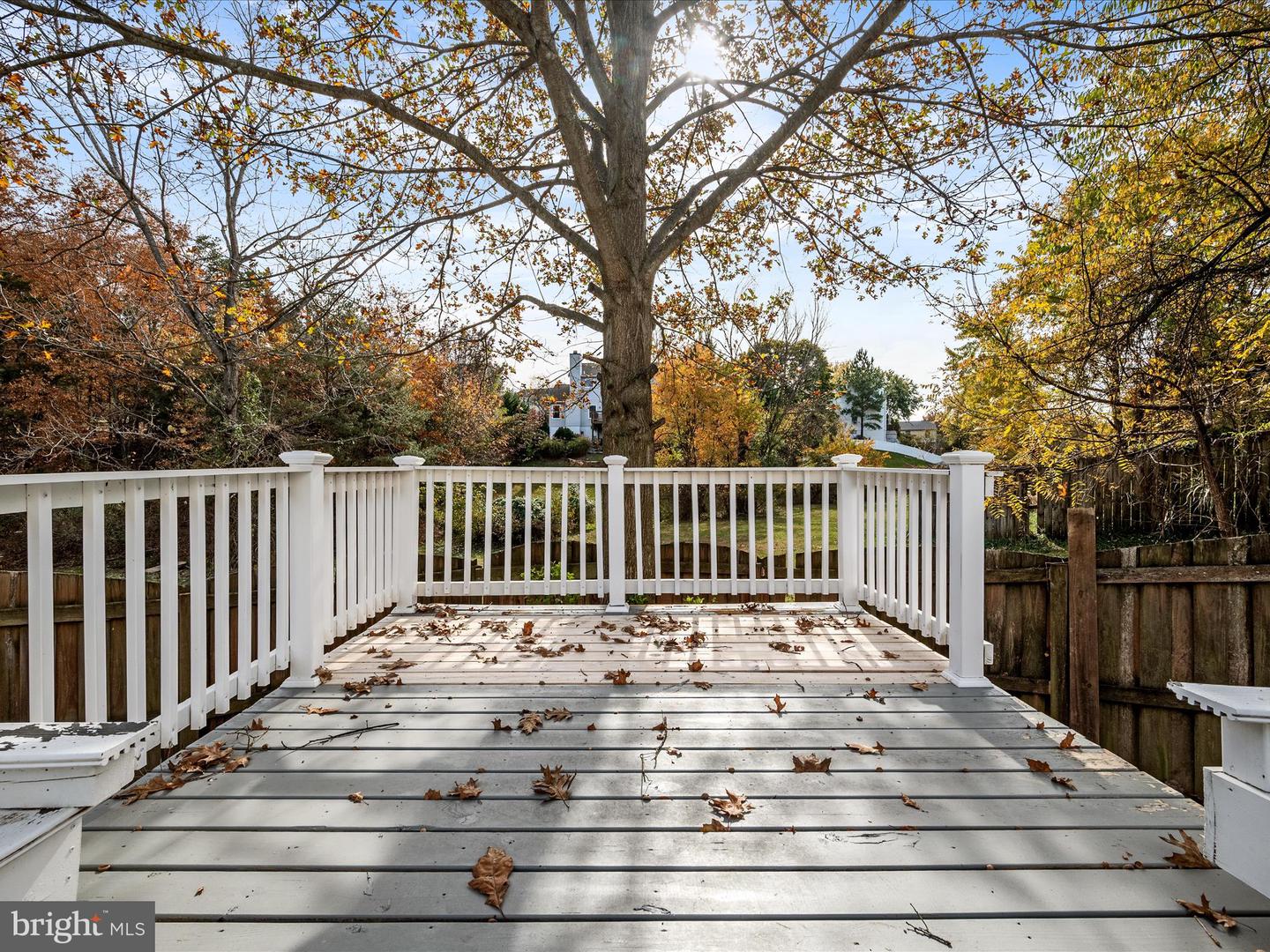 144 MORNING GLORY, WINCHESTER, Virginia 22602, 5 Bedrooms Bedrooms, 12 Rooms Rooms,4 BathroomsBathrooms,Residential,For sale,144 MORNING GLORY,VAFV2037596 MLS # VAFV2037596 144 MORNING GLORY, WINCHESTER, Virginia 22602, 5 Bedrooms Bedrooms, 12 Rooms Rooms,4 BathroomsBathrooms,Residential,For sale,144 MORNING GLORY,VAFV2037596 MLS # VAFV2037596