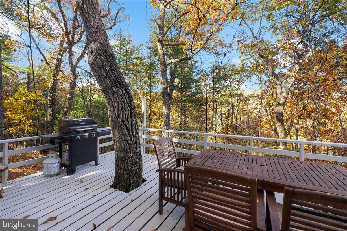 491 S MAPLE RD, MOUNT JACKSON, Virginia 22842, 2 Bedrooms Bedrooms, ,1 BathroomBathrooms,Residential,For sale,491 S MAPLE RD,VASH2012842 MLS # VASH2012842 491 S MAPLE RD, MOUNT JACKSON, Virginia 22842, 2 Bedrooms Bedrooms, ,1 BathroomBathrooms,Residential,For sale,491 S MAPLE RD,VASH2012842 MLS # VASH2012842