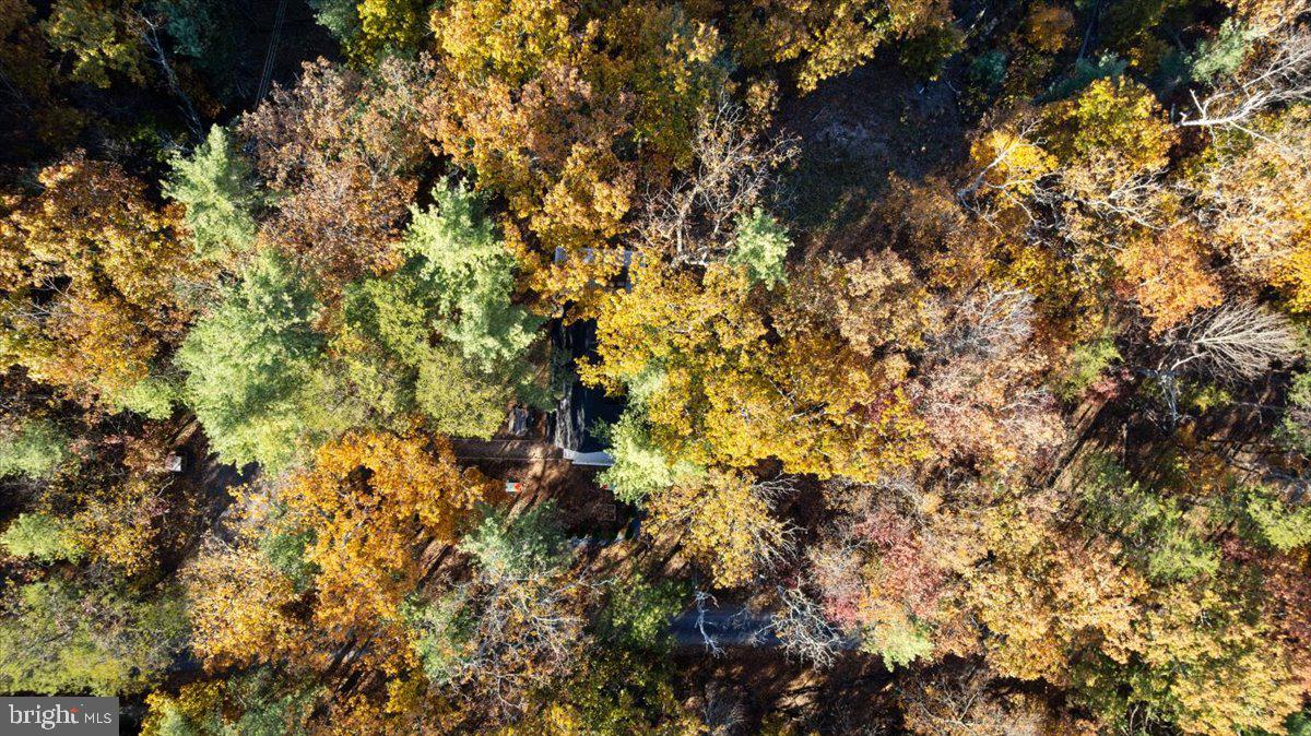 491 S MAPLE RD, MOUNT JACKSON, Virginia 22842, 2 Bedrooms Bedrooms, ,1 BathroomBathrooms,Residential,For sale,491 S MAPLE RD,VASH2012842 MLS # VASH2012842 491 S MAPLE RD, MOUNT JACKSON, Virginia 22842, 2 Bedrooms Bedrooms, ,1 BathroomBathrooms,Residential,For sale,491 S MAPLE RD,VASH2012842 MLS # VASH2012842