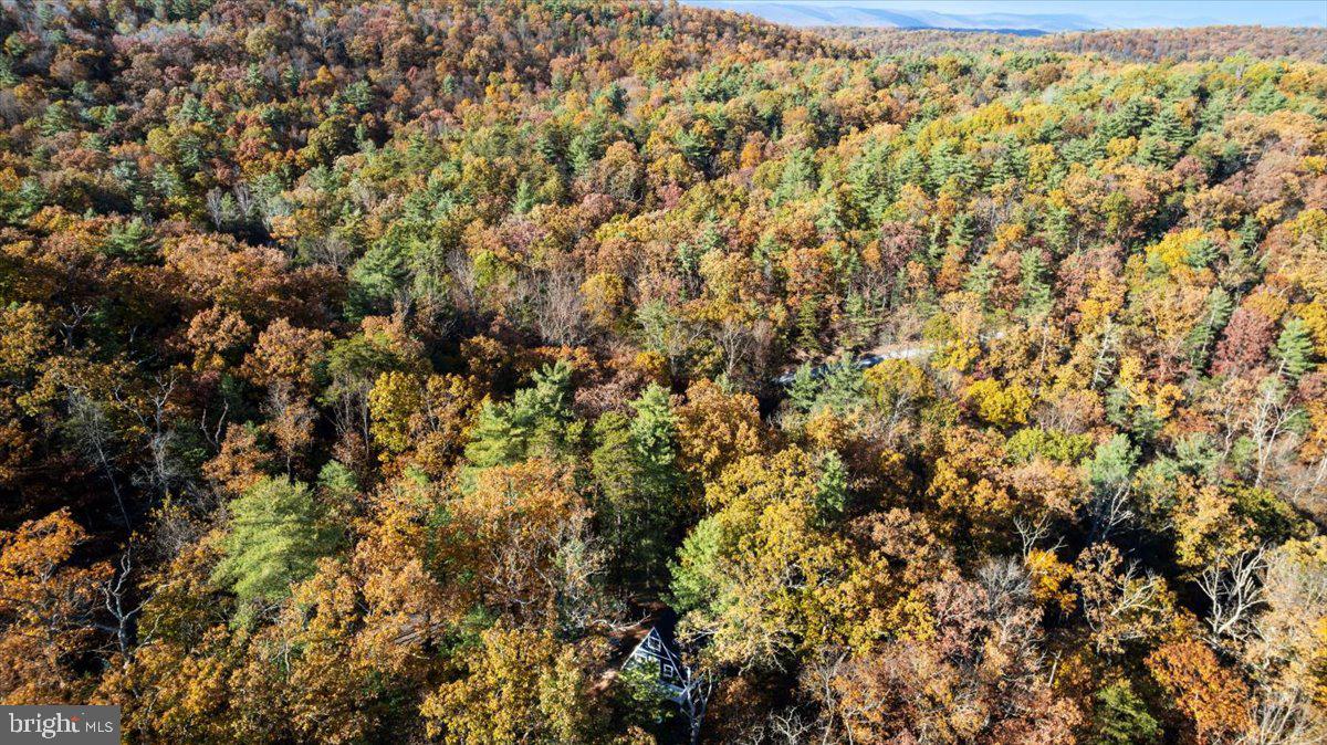 491 S MAPLE RD, MOUNT JACKSON, Virginia 22842, 2 Bedrooms Bedrooms, ,1 BathroomBathrooms,Residential,For sale,491 S MAPLE RD,VASH2012842 MLS # VASH2012842 491 S MAPLE RD, MOUNT JACKSON, Virginia 22842, 2 Bedrooms Bedrooms, ,1 BathroomBathrooms,Residential,For sale,491 S MAPLE RD,VASH2012842 MLS # VASH2012842