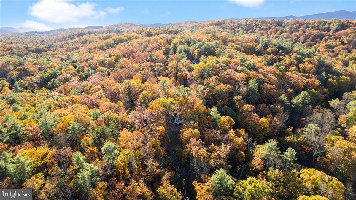 491 S MAPLE RD, MOUNT JACKSON, Virginia 22842, 2 Bedrooms Bedrooms, ,1 BathroomBathrooms,Residential,For sale,491 S MAPLE RD,VASH2012842 MLS # VASH2012842 491 S MAPLE RD, MOUNT JACKSON, Virginia 22842, 2 Bedrooms Bedrooms, ,1 BathroomBathrooms,Residential,For sale,491 S MAPLE RD,VASH2012842 MLS # VASH2012842