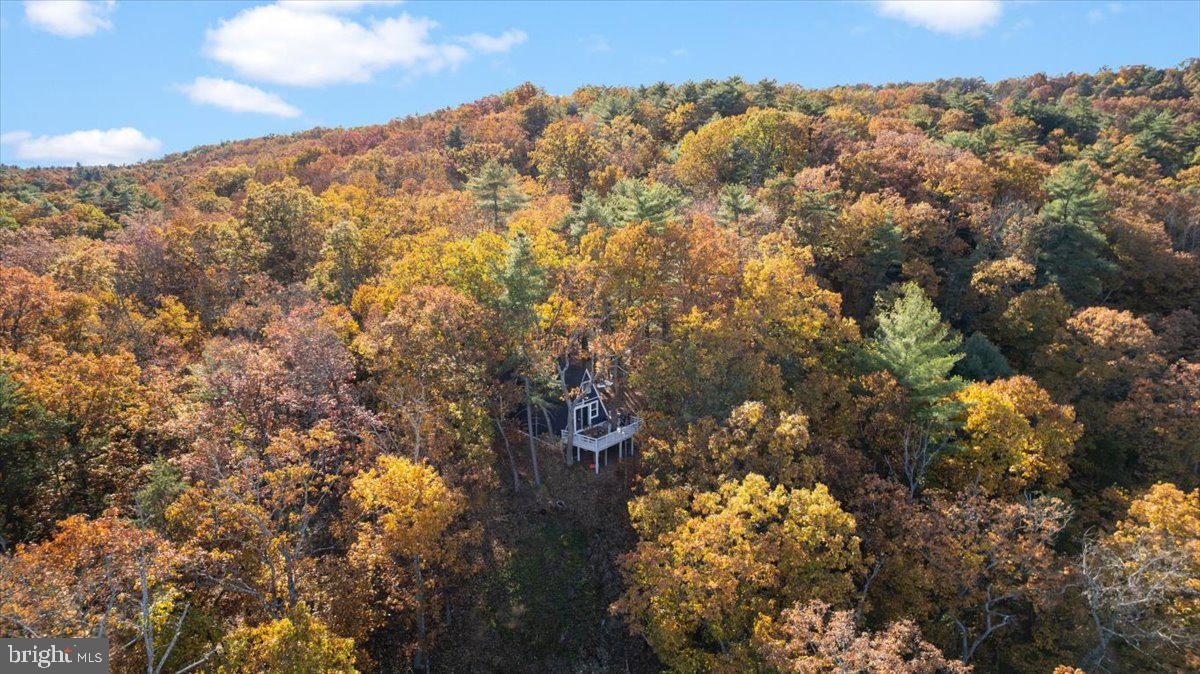 491 S MAPLE RD, MOUNT JACKSON, Virginia 22842, 2 Bedrooms Bedrooms, ,1 BathroomBathrooms,Residential,For sale,491 S MAPLE RD,VASH2012842 MLS # VASH2012842 491 S MAPLE RD, MOUNT JACKSON, Virginia 22842, 2 Bedrooms Bedrooms, ,1 BathroomBathrooms,Residential,For sale,491 S MAPLE RD,VASH2012842 MLS # VASH2012842