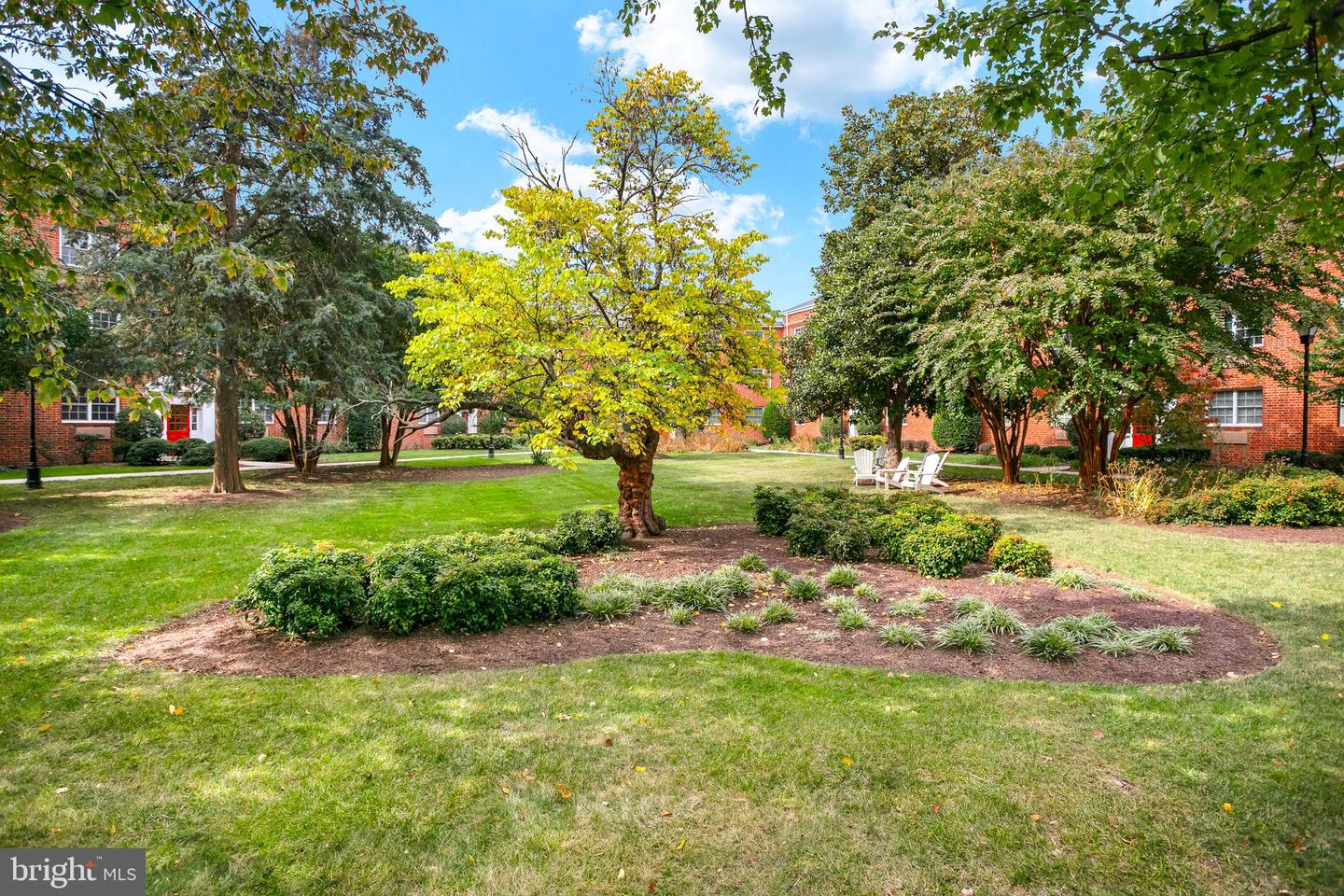 1700 W ABINGDON DR #103, ALEXANDRIA, Virginia 22314, 2 Bedrooms Bedrooms, ,1 BathroomBathrooms,Residential,For sale,1700 W ABINGDON DR #103,VAAX2051216 MLS # VAAX2051216 1700 W ABINGDON DR #103, ALEXANDRIA, Virginia 22314, 2 Bedrooms Bedrooms, ,1 BathroomBathrooms,Residential,For sale,1700 W ABINGDON DR #103,VAAX2051216 MLS # VAAX2051216