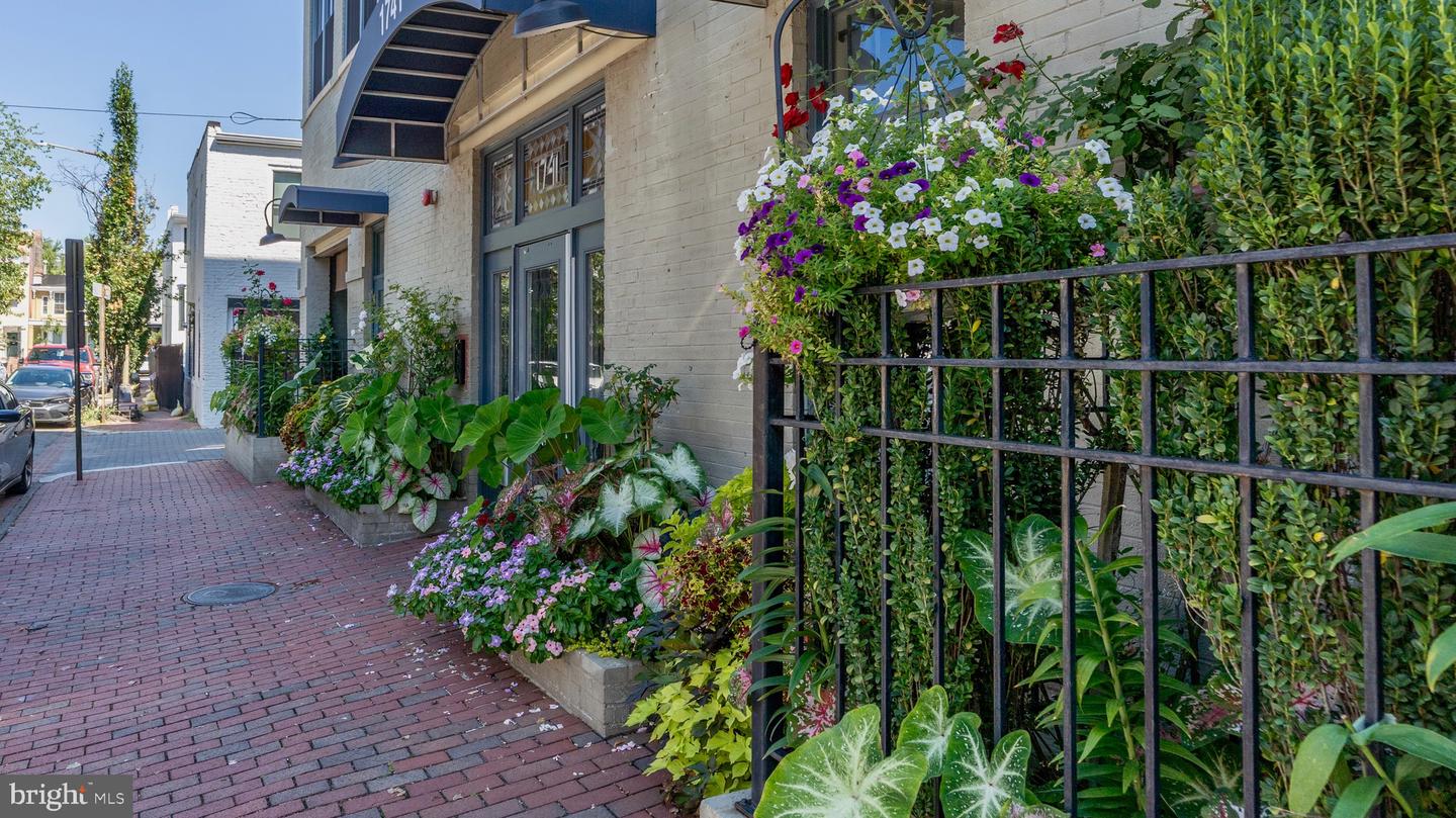 1741 JOHNSON AVE NW #301, WASHINGTON, District Of Columbia 20009, 2 Bedrooms Bedrooms, ,2 BathroomsBathrooms,Residential,For sale,1741 JOHNSON AVE NW #301,DCDC2229240 MLS # DCDC2229240 1741 JOHNSON AVE NW #301, WASHINGTON, District Of Columbia 20009, 2 Bedrooms Bedrooms, ,2 BathroomsBathrooms,Residential,For sale,1741 JOHNSON AVE NW #301,DCDC2229240 MLS # DCDC2229240