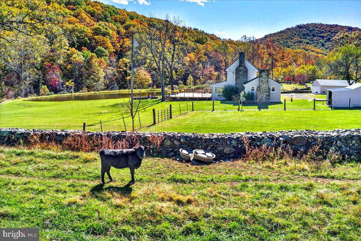 290 RILEY HOLLOW RD, HUNTLY, Virginia 22640, 3 Bedrooms Bedrooms, ,3 BathroomsBathrooms,Residential,For sale,290 RILEY HOLLOW RD,VARP2002360 MLS # VARP2002360 290 RILEY HOLLOW RD, HUNTLY, Virginia 22640, 3 Bedrooms Bedrooms, ,3 BathroomsBathrooms,Residential,For sale,290 RILEY HOLLOW RD,VARP2002360 MLS # VARP2002360