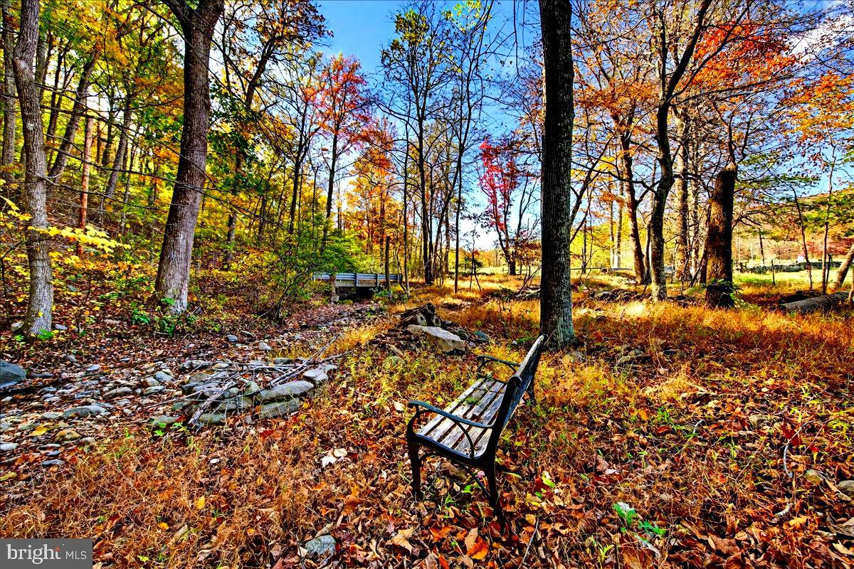 290 RILEY HOLLOW RD, HUNTLY, Virginia 22640, 3 Bedrooms Bedrooms, ,3 BathroomsBathrooms,Residential,For sale,290 RILEY HOLLOW RD,VARP2002360 MLS # VARP2002360 290 RILEY HOLLOW RD, HUNTLY, Virginia 22640, 3 Bedrooms Bedrooms, ,3 BathroomsBathrooms,Residential,For sale,290 RILEY HOLLOW RD,VARP2002360 MLS # VARP2002360