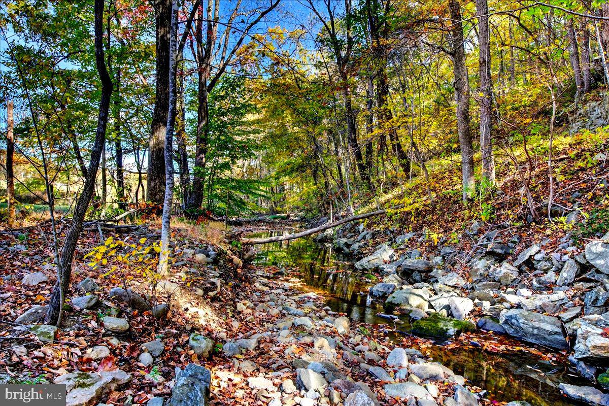 290 RILEY HOLLOW RD, HUNTLY, Virginia 22640, 3 Bedrooms Bedrooms, ,3 BathroomsBathrooms,Residential,For sale,290 RILEY HOLLOW RD,VARP2002360 MLS # VARP2002360 290 RILEY HOLLOW RD, HUNTLY, Virginia 22640, 3 Bedrooms Bedrooms, ,3 BathroomsBathrooms,Residential,For sale,290 RILEY HOLLOW RD,VARP2002360 MLS # VARP2002360