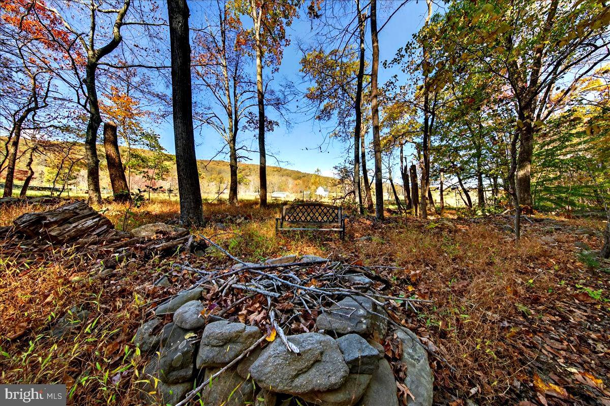 290 RILEY HOLLOW RD, HUNTLY, Virginia 22640, 3 Bedrooms Bedrooms, ,3 BathroomsBathrooms,Residential,For sale,290 RILEY HOLLOW RD,VARP2002360 MLS # VARP2002360 290 RILEY HOLLOW RD, HUNTLY, Virginia 22640, 3 Bedrooms Bedrooms, ,3 BathroomsBathrooms,Residential,For sale,290 RILEY HOLLOW RD,VARP2002360 MLS # VARP2002360