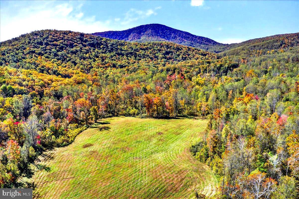 290 RILEY HOLLOW RD, HUNTLY, Virginia 22640, 3 Bedrooms Bedrooms, ,3 BathroomsBathrooms,Residential,For sale,290 RILEY HOLLOW RD,VARP2002360 MLS # VARP2002360 290 RILEY HOLLOW RD, HUNTLY, Virginia 22640, 3 Bedrooms Bedrooms, ,3 BathroomsBathrooms,Residential,For sale,290 RILEY HOLLOW RD,VARP2002360 MLS # VARP2002360