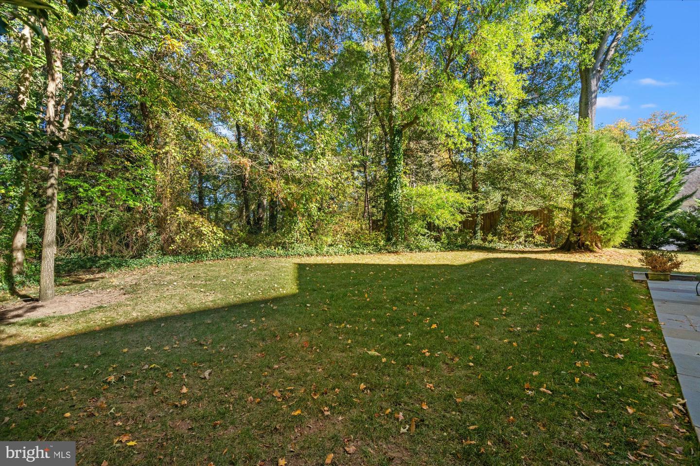 8413 W BOULEVARD DR, ALEXANDRIA, Virginia 22308, 4 Bedrooms Bedrooms, ,4 BathroomsBathrooms,Residential,For sale,8413 W BOULEVARD DR,VAFX2276716 MLS # VAFX2276716 8413 W BOULEVARD DR, ALEXANDRIA, Virginia 22308, 4 Bedrooms Bedrooms, ,4 BathroomsBathrooms,Residential,For sale,8413 W BOULEVARD DR,VAFX2276716 MLS # VAFX2276716