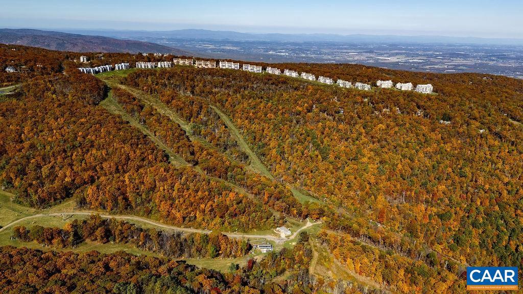 208 TIMBERS CONDOS, WINTERGREEN RESORT, Virginia 22967, 1 Bedroom Bedrooms, ,1 BathroomBathrooms,Residential,For sale,208 TIMBERS CONDOS,670510 MLS # 670510 208 TIMBERS CONDOS, WINTERGREEN RESORT, Virginia 22967, 1 Bedroom Bedrooms, ,1 BathroomBathrooms,Residential,For sale,208 TIMBERS CONDOS,670510 MLS # 670510