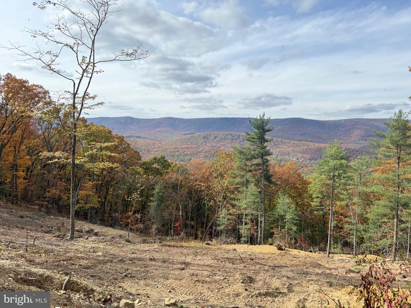 4101 AND 4039 SUPINLICK RIDGE RD, BASYE, Virginia 22810, 3 Bedrooms Bedrooms, ,2 BathroomsBathrooms,Residential,For sale,4101 AND 4039 SUPINLICK RIDGE RD,VASH2012884 MLS # VASH2012884 4101 AND 4039 SUPINLICK RIDGE RD, BASYE, Virginia 22810, 3 Bedrooms Bedrooms, ,2 BathroomsBathrooms,Residential,For sale,4101 AND 4039 SUPINLICK RIDGE RD,VASH2012884 MLS # VASH2012884