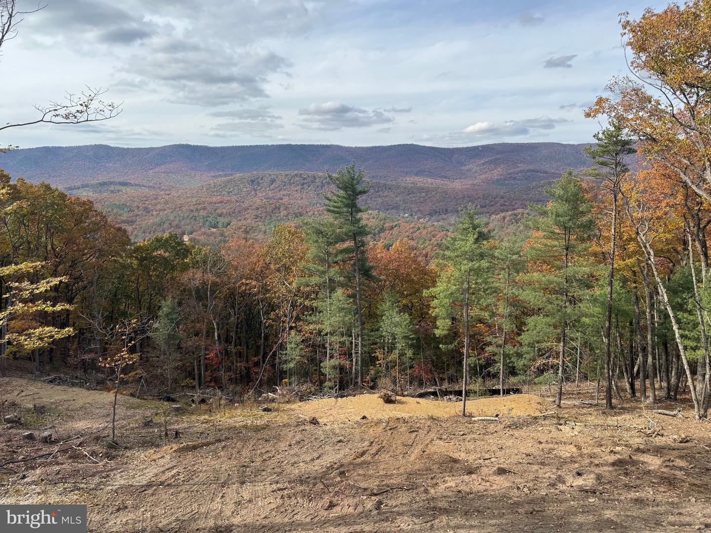 4101 AND 4039 SUPINLICK RIDGE RD, BASYE, Virginia 22810, 3 Bedrooms Bedrooms, ,2 BathroomsBathrooms,Residential,For sale,4101 AND 4039 SUPINLICK RIDGE RD,VASH2012884 MLS # VASH2012884 4101 AND 4039 SUPINLICK RIDGE RD, BASYE, Virginia 22810, 3 Bedrooms Bedrooms, ,2 BathroomsBathrooms,Residential,For sale,4101 AND 4039 SUPINLICK RIDGE RD,VASH2012884 MLS # VASH2012884