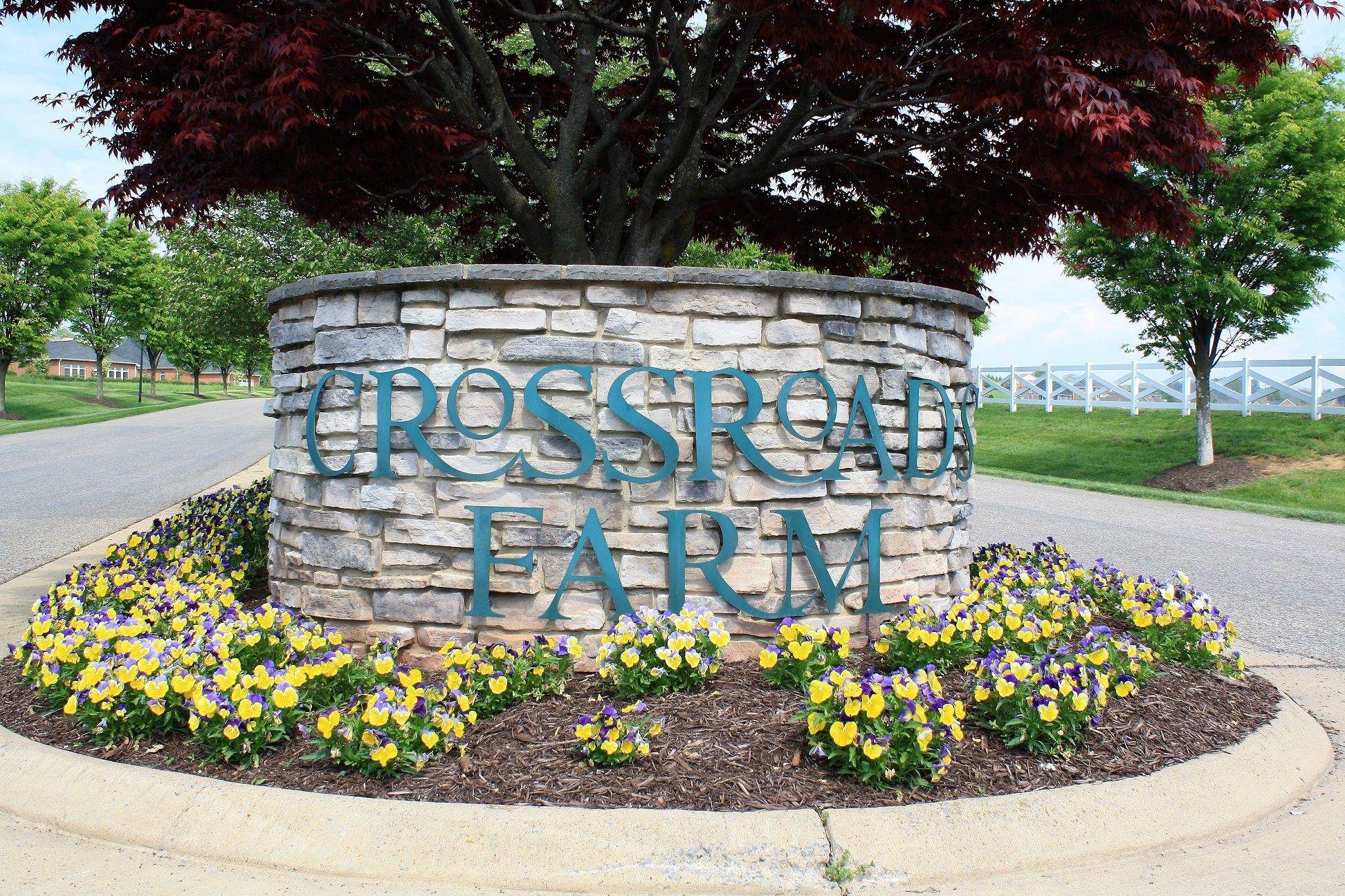 1165 FREDERICK RD, ROCKINGHAM, Virginia 22801, ,Land,1165 FREDERICK RD,670520 MLS # 670520 1165 FREDERICK RD, ROCKINGHAM, Virginia 22801, ,Land,1165 FREDERICK RD,670520 MLS # 670520