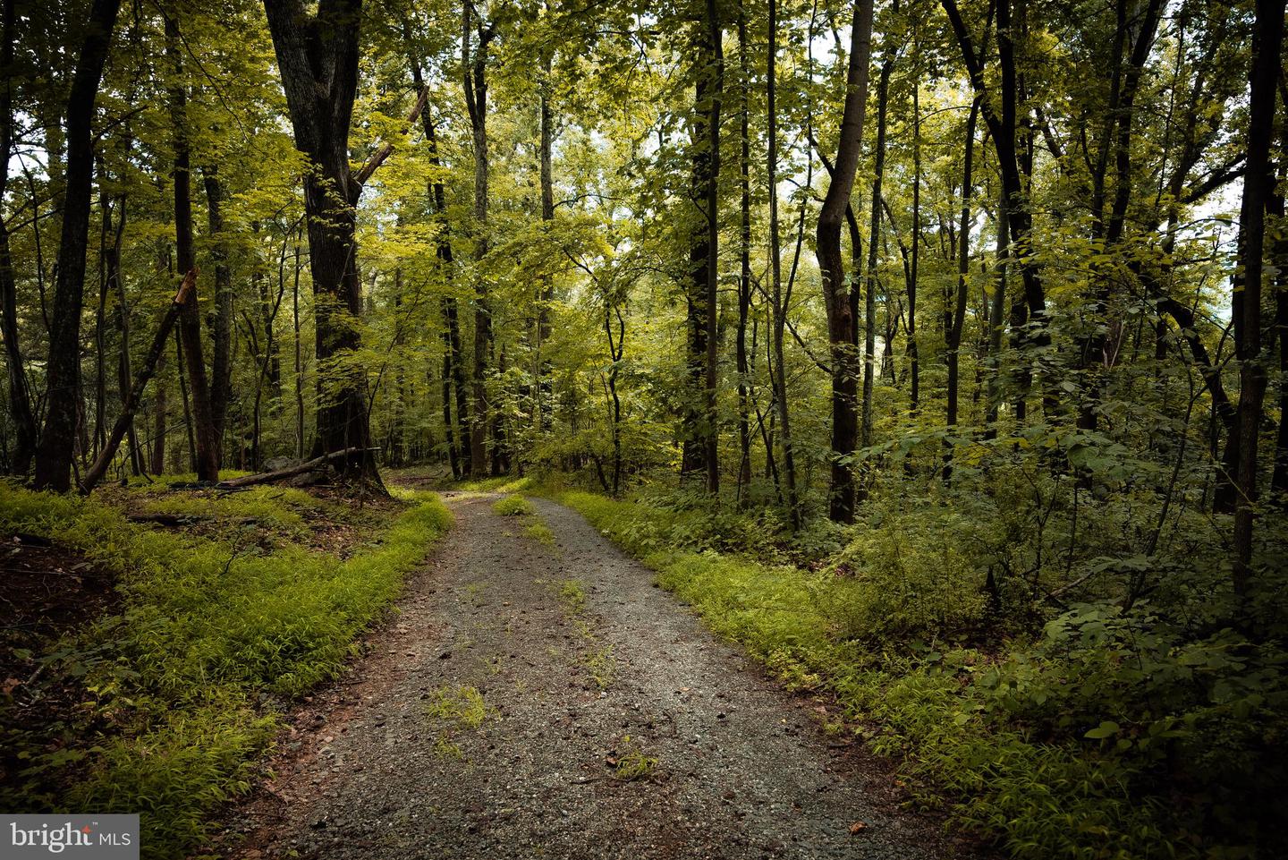 1 RAG HILL RD, SYRIA, Virginia 22743, ,Land,For sale,1 RAG HILL RD,VAMA2002354 MLS # VAMA2002354 1 RAG HILL RD, SYRIA, Virginia 22743, ,Land,For sale,1 RAG HILL RD,VAMA2002354 MLS # VAMA2002354