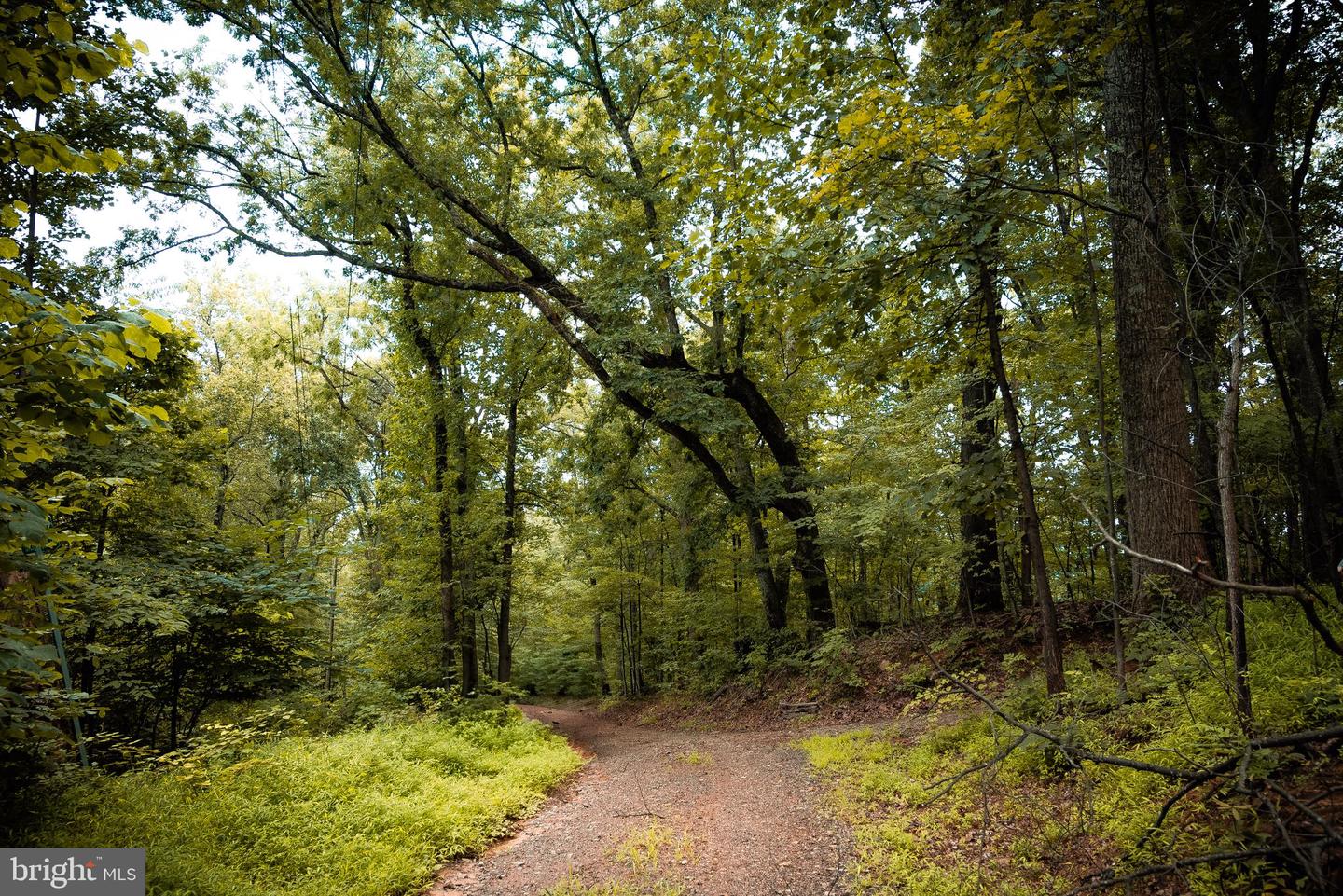 1 RAG HILL RD, SYRIA, Virginia 22743, ,Land,For sale,1 RAG HILL RD,VAMA2002354 MLS # VAMA2002354 1 RAG HILL RD, SYRIA, Virginia 22743, ,Land,For sale,1 RAG HILL RD,VAMA2002354 MLS # VAMA2002354