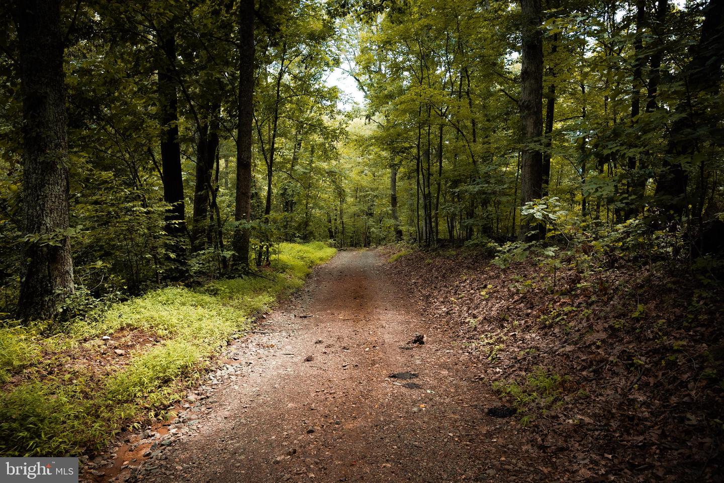 1 RAG HILL RD, SYRIA, Virginia 22743, ,Land,For sale,1 RAG HILL RD,VAMA2002354 MLS # VAMA2002354 1 RAG HILL RD, SYRIA, Virginia 22743, ,Land,For sale,1 RAG HILL RD,VAMA2002354 MLS # VAMA2002354