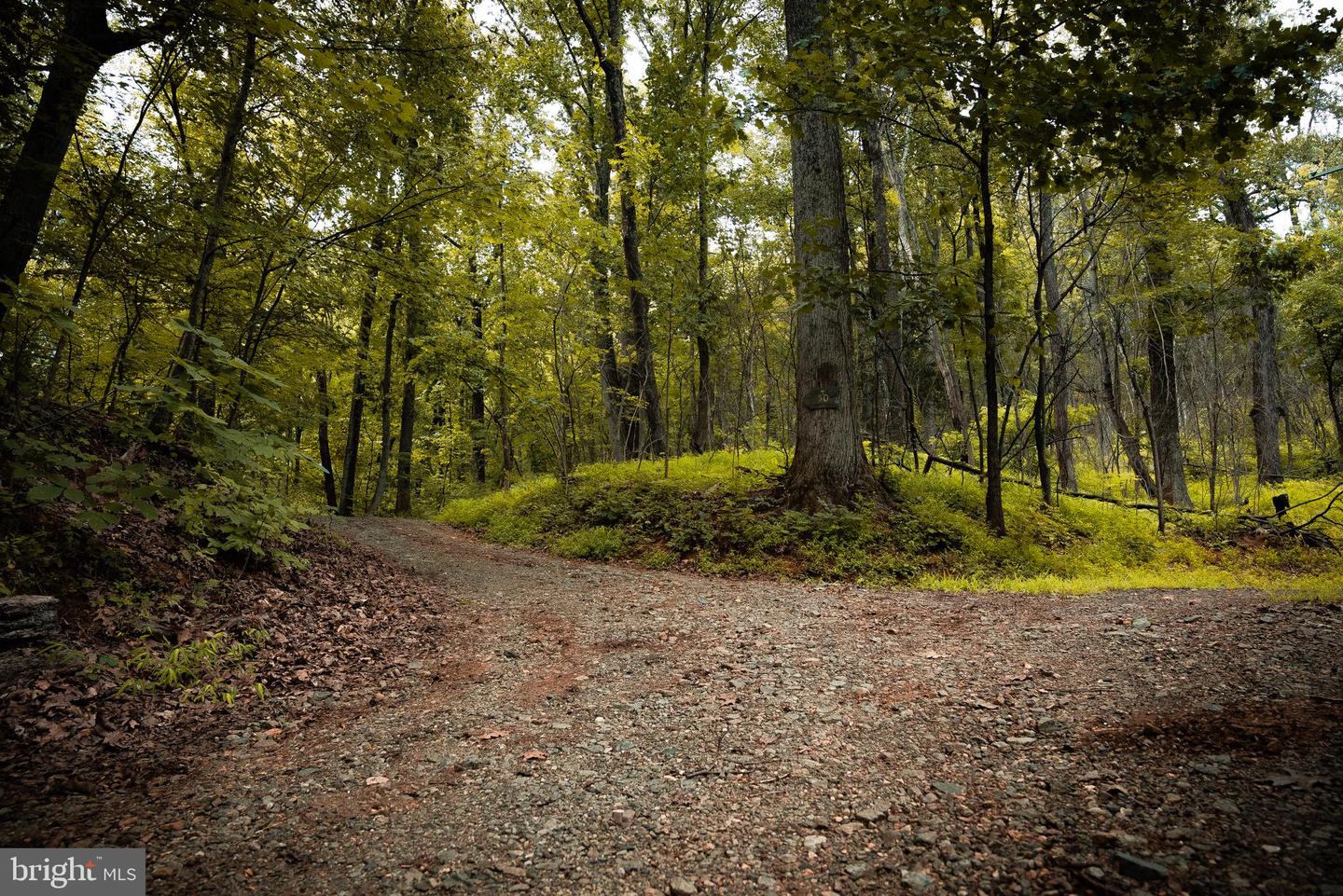 1 RAG HILL RD, SYRIA, Virginia 22743, ,Land,For sale,1 RAG HILL RD,VAMA2002354 MLS # VAMA2002354 1 RAG HILL RD, SYRIA, Virginia 22743, ,Land,For sale,1 RAG HILL RD,VAMA2002354 MLS # VAMA2002354
