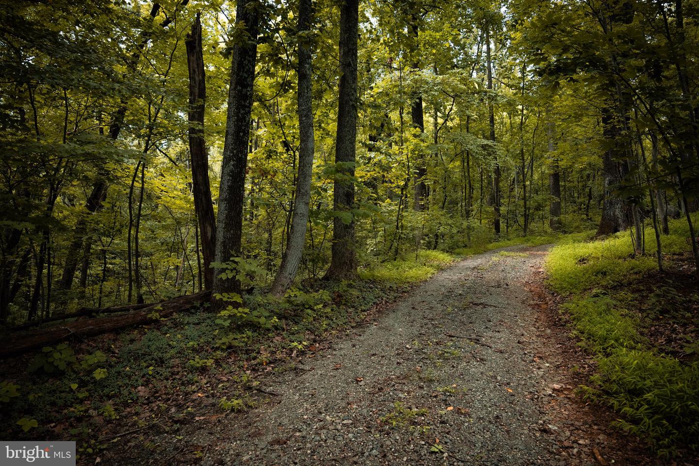 1 RAG HILL RD, SYRIA, Virginia 22743, ,Land,For sale,1 RAG HILL RD,VAMA2002354 MLS # VAMA2002354 1 RAG HILL RD, SYRIA, Virginia 22743, ,Land,For sale,1 RAG HILL RD,VAMA2002354 MLS # VAMA2002354