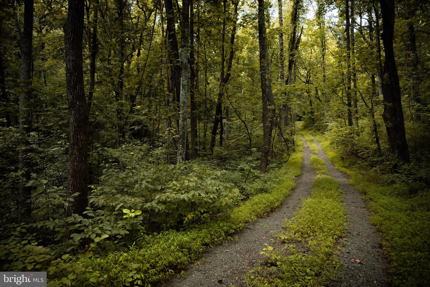 1 RAG HILL RD, SYRIA, Virginia 22743, ,Land,For sale,1 RAG HILL RD,VAMA2002354 MLS # VAMA2002354 1 RAG HILL RD, SYRIA, Virginia 22743, ,Land,For sale,1 RAG HILL RD,VAMA2002354 MLS # VAMA2002354