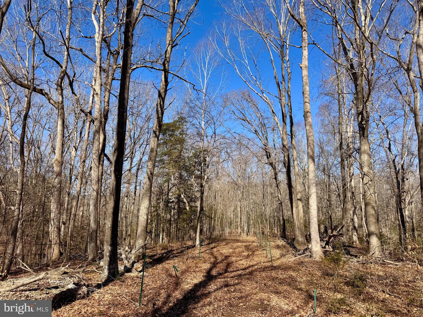 13 GLENWOOD LN, IRVINGTON, Virginia 22480, ,Land,For sale,13 GLENWOOD LN,VALV2000898 MLS # VALV2000898 13 GLENWOOD LN, IRVINGTON, Virginia 22480, ,Land,For sale,13 GLENWOOD LN,VALV2000898 MLS # VALV2000898