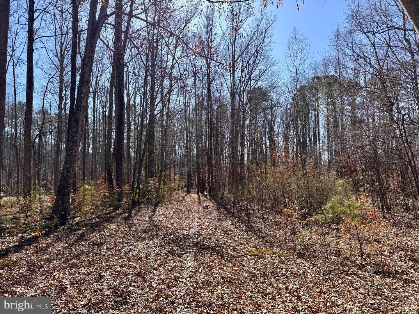 13 GLENWOOD LN, IRVINGTON, Virginia 22480, ,Land,For sale,13 GLENWOOD LN,VALV2000898 MLS # VALV2000898 13 GLENWOOD LN, IRVINGTON, Virginia 22480, ,Land,For sale,13 GLENWOOD LN,VALV2000898 MLS # VALV2000898