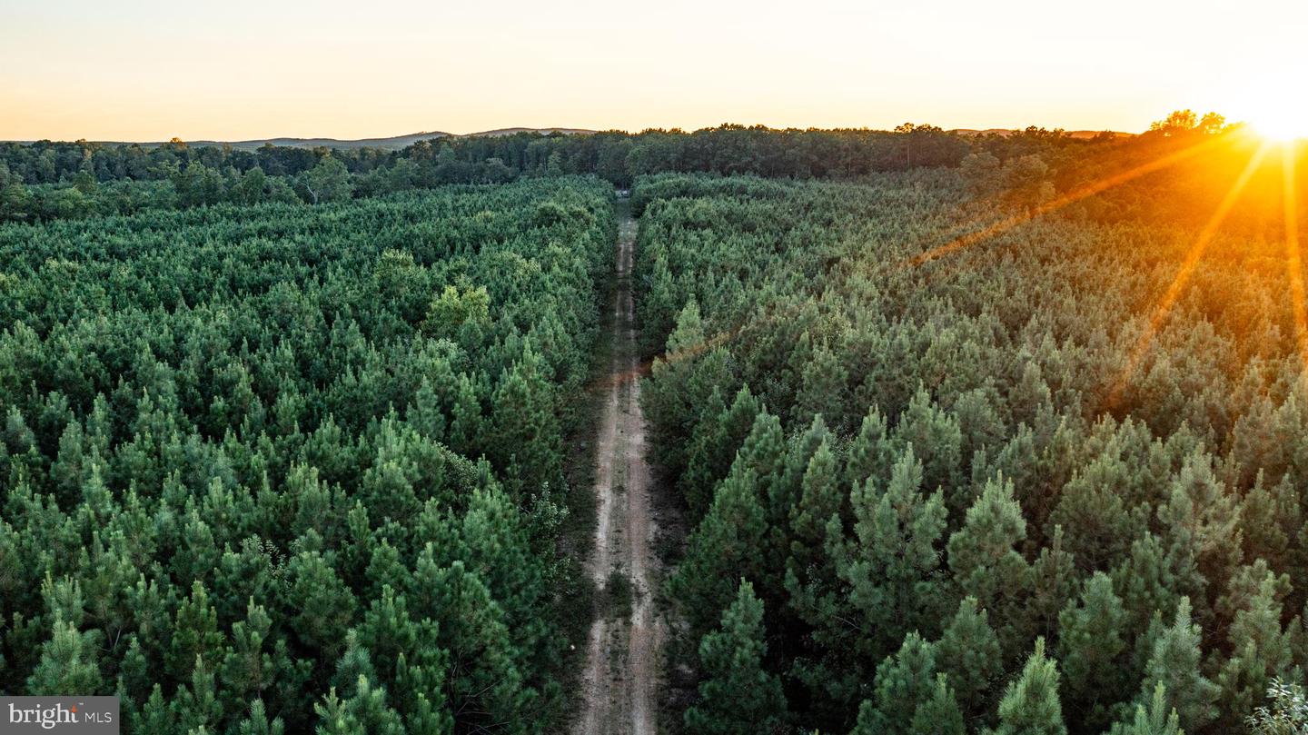 0 GRANDVIEW LN, BUCKINGHAM, Virginia 23921, ,Farm,For sale,0 GRANDVIEW LN,VABH2000228 MLS # VABH2000228 0 GRANDVIEW LN, BUCKINGHAM, Virginia 23921, ,Farm,For sale,0 GRANDVIEW LN,VABH2000228 MLS # VABH2000228