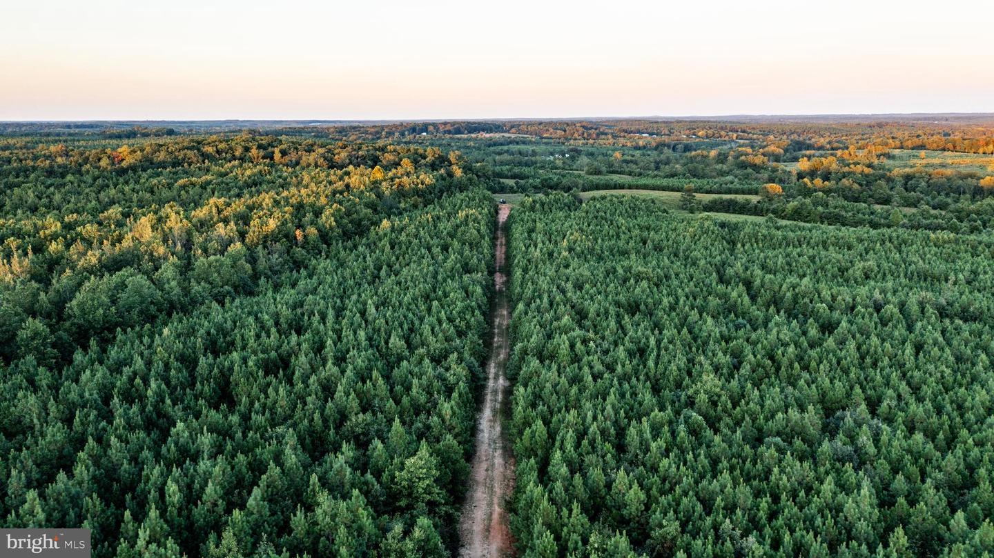 0 GRANDVIEW LN, BUCKINGHAM, Virginia 23921, ,Farm,For sale,0 GRANDVIEW LN,VABH2000228 MLS # VABH2000228 0 GRANDVIEW LN, BUCKINGHAM, Virginia 23921, ,Farm,For sale,0 GRANDVIEW LN,VABH2000228 MLS # VABH2000228