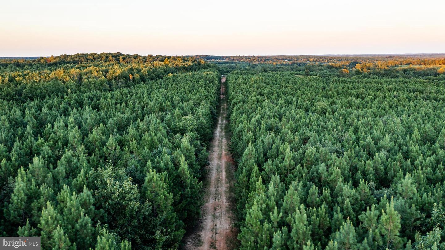 0 GRANDVIEW LN, BUCKINGHAM, Virginia 23921, ,Farm,For sale,0 GRANDVIEW LN,VABH2000228 MLS # VABH2000228 0 GRANDVIEW LN, BUCKINGHAM, Virginia 23921, ,Farm,For sale,0 GRANDVIEW LN,VABH2000228 MLS # VABH2000228