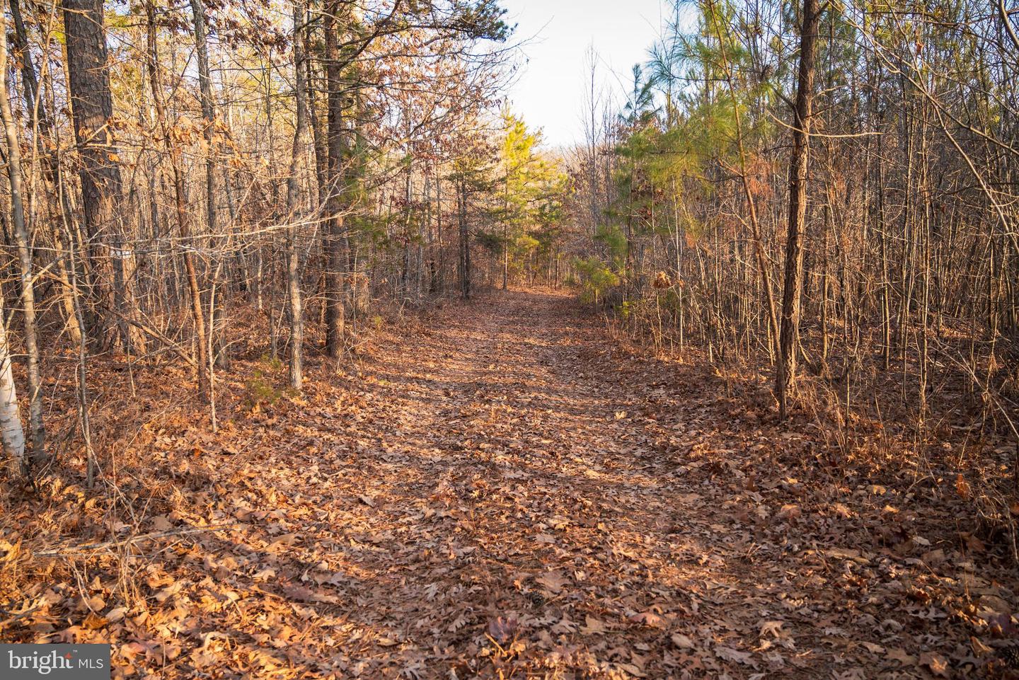 0 GRANDVIEW LN, BUCKINGHAM, Virginia 23921, ,Farm,For sale,0 GRANDVIEW LN,VABH2000228 MLS # VABH2000228