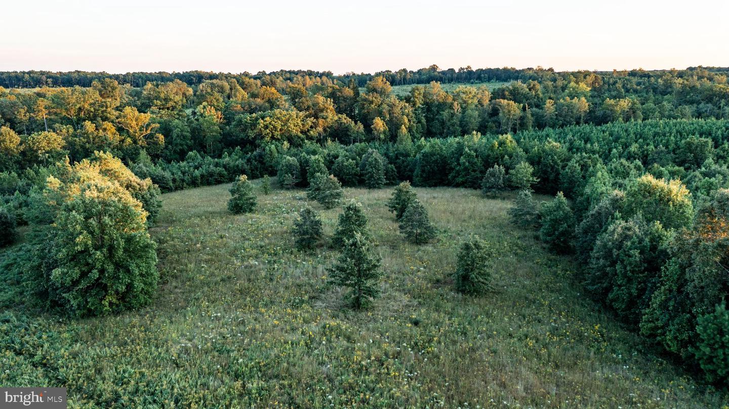 0 GRANDVIEW LN, BUCKINGHAM, Virginia 23921, ,Farm,For sale,0 GRANDVIEW LN,VABH2000228 MLS # VABH2000228 0 GRANDVIEW LN, BUCKINGHAM, Virginia 23921, ,Farm,For sale,0 GRANDVIEW LN,VABH2000228 MLS # VABH2000228