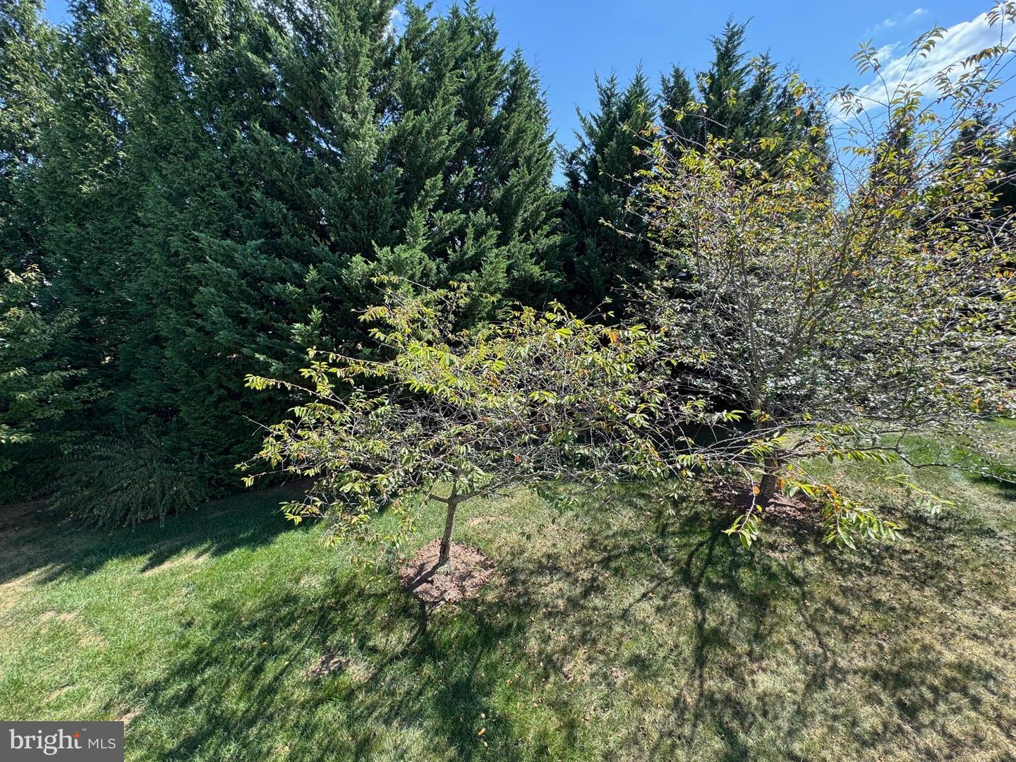 150 HARVEST RIDGE DR, WINCHESTER, Virginia 22601, 4 Bedrooms Bedrooms, 18 Rooms Rooms,3 BathroomsBathrooms,Residential,For sale,150 HARVEST RIDGE DR,VAFV2036498 MLS # VAFV2036498 150 HARVEST RIDGE DR, WINCHESTER, Virginia 22601, 4 Bedrooms Bedrooms, 18 Rooms Rooms,3 BathroomsBathrooms,Residential,For sale,150 HARVEST RIDGE DR,VAFV2036498 MLS # VAFV2036498