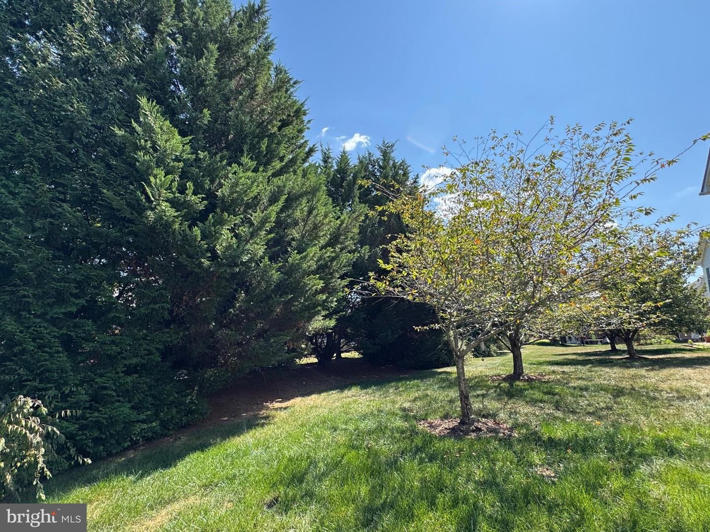 150 HARVEST RIDGE DR, WINCHESTER, Virginia 22601, 4 Bedrooms Bedrooms, 18 Rooms Rooms,3 BathroomsBathrooms,Residential,For sale,150 HARVEST RIDGE DR,VAFV2036498 MLS # VAFV2036498 150 HARVEST RIDGE DR, WINCHESTER, Virginia 22601, 4 Bedrooms Bedrooms, 18 Rooms Rooms,3 BathroomsBathrooms,Residential,For sale,150 HARVEST RIDGE DR,VAFV2036498 MLS # VAFV2036498