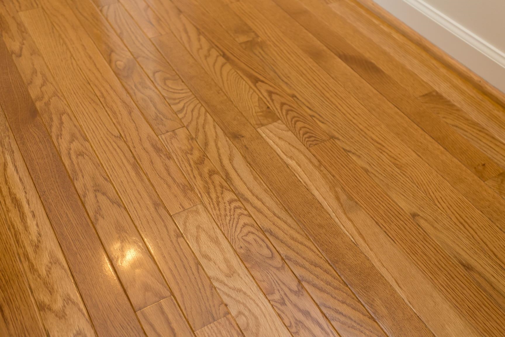 302 MEYERS CT, BROADWAY, Virginia 22815, 3 Bedrooms Bedrooms, ,2 BathroomsBathrooms,Residential,302 MEYERS CT,670538 MLS # 670538 302 MEYERS CT, BROADWAY, Virginia 22815, 3 Bedrooms Bedrooms, ,2 BathroomsBathrooms,Residential,302 MEYERS CT,670538 MLS # 670538