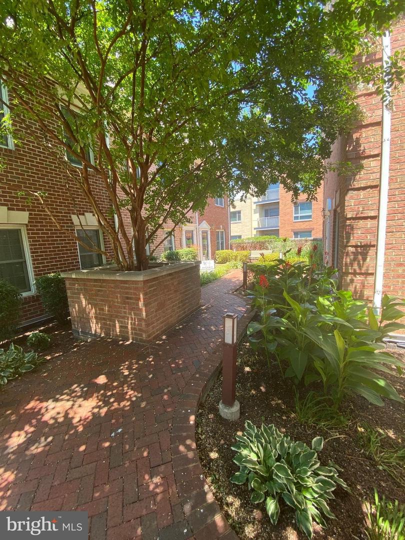2256 S GARFIELD ST S #11, ARLINGTON, Virginia 22206, 3 Bedrooms Bedrooms, ,3 BathroomsBathrooms,Residential,For sale,2256 S GARFIELD ST S #11,VAAR2064436 MLS # VAAR2064436 2256 S GARFIELD ST S #11, ARLINGTON, Virginia 22206, 3 Bedrooms Bedrooms, ,3 BathroomsBathrooms,Residential,For sale,2256 S GARFIELD ST S #11,VAAR2064436 MLS # VAAR2064436